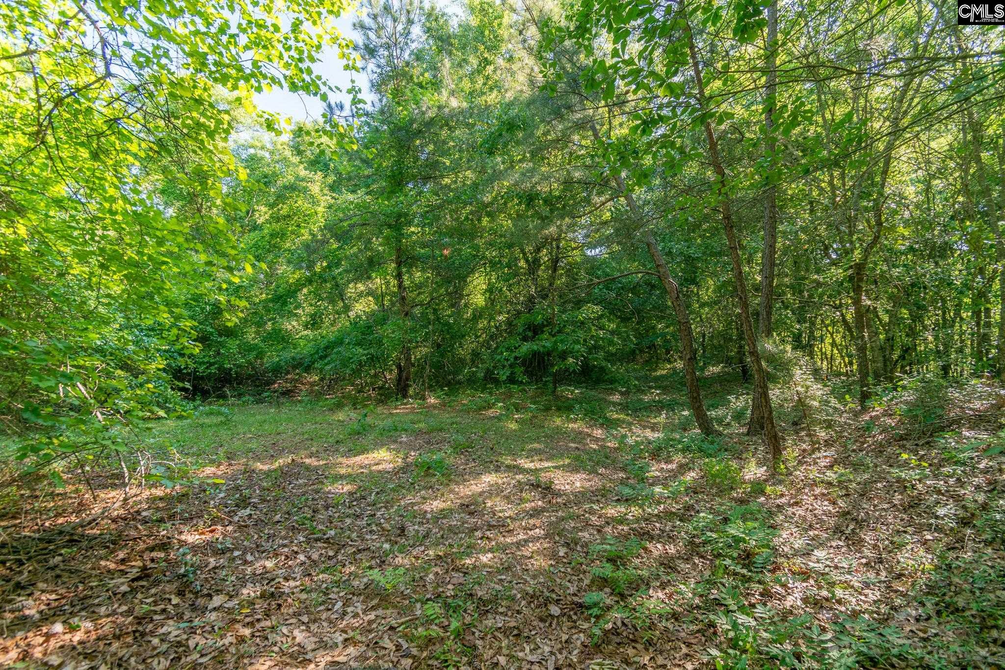 000 Airport Road, Pageland, South Carolina image 16