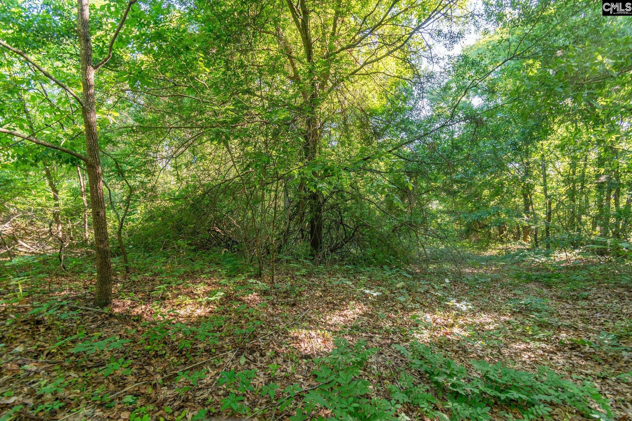 000 Airport Road, Pageland, South Carolina image 18