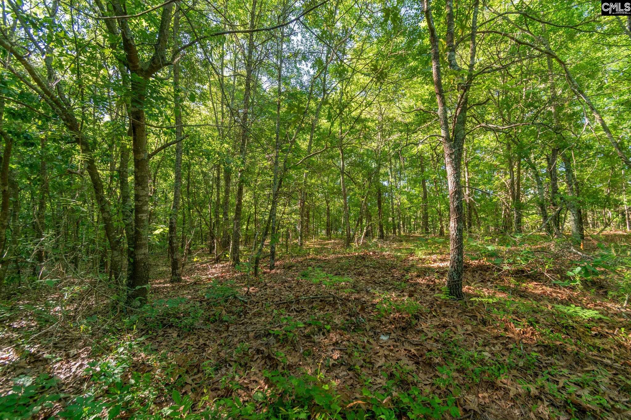 000 Airport Road, Pageland, South Carolina image 19