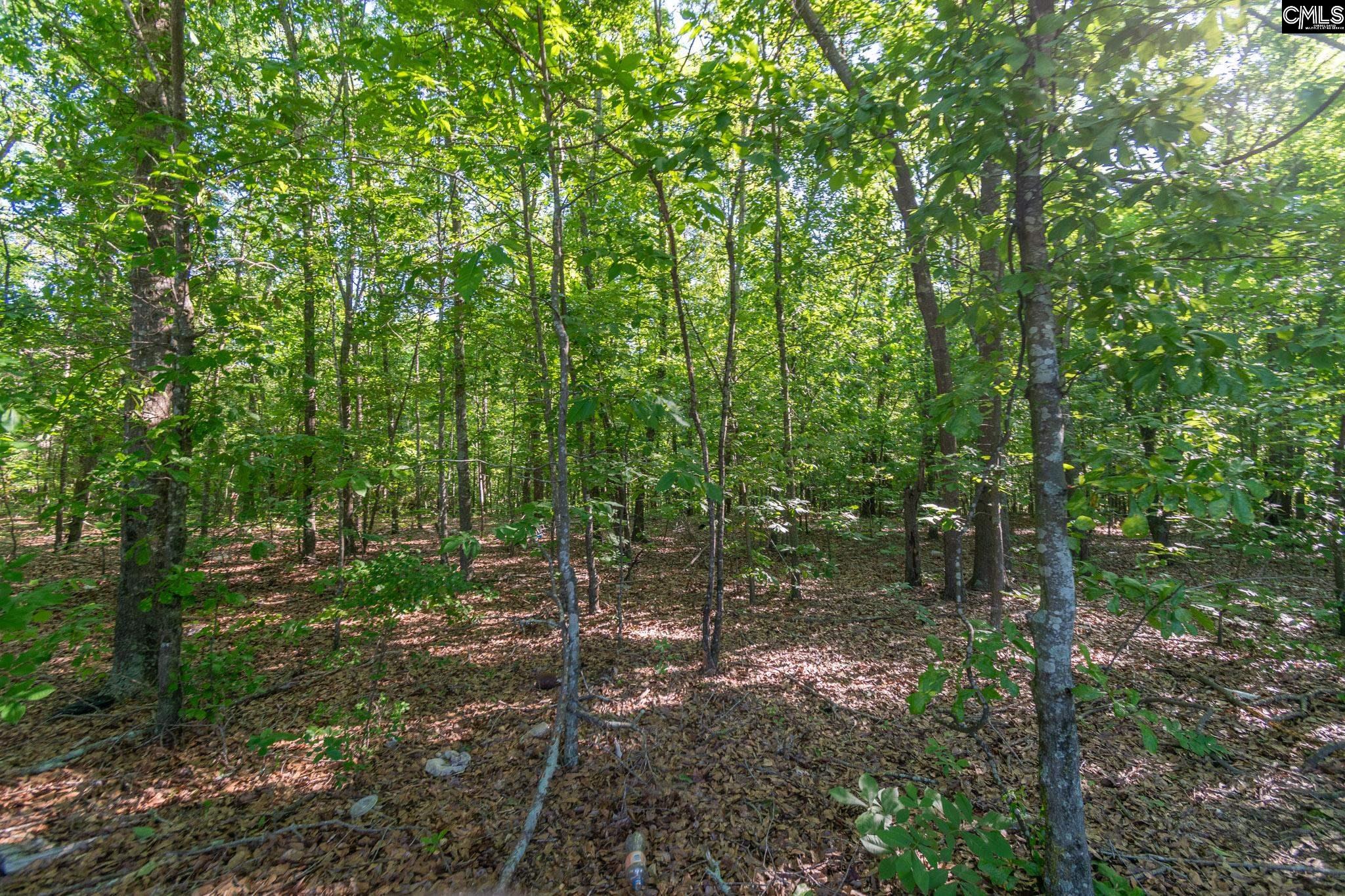 000 Airport Road, Pageland, South Carolina image 23