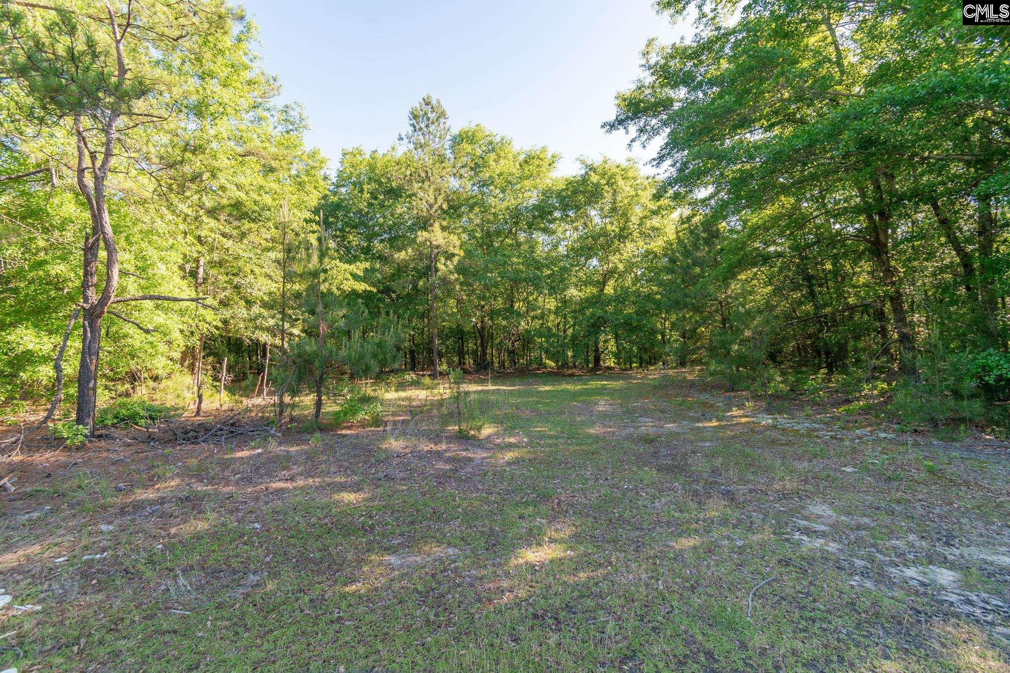 000 Airport Road, Pageland, South Carolina image 4