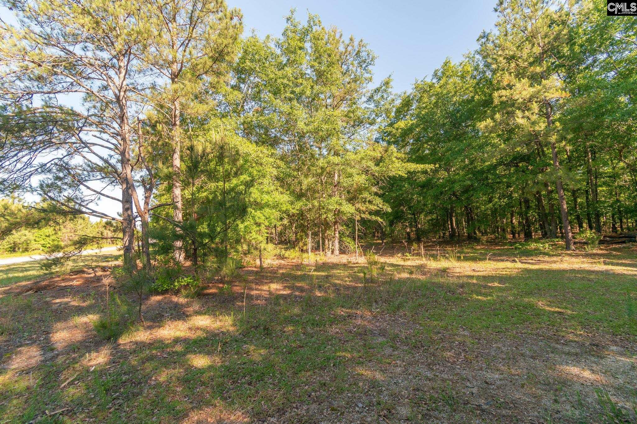 000 Airport Road, Pageland, South Carolina image 5