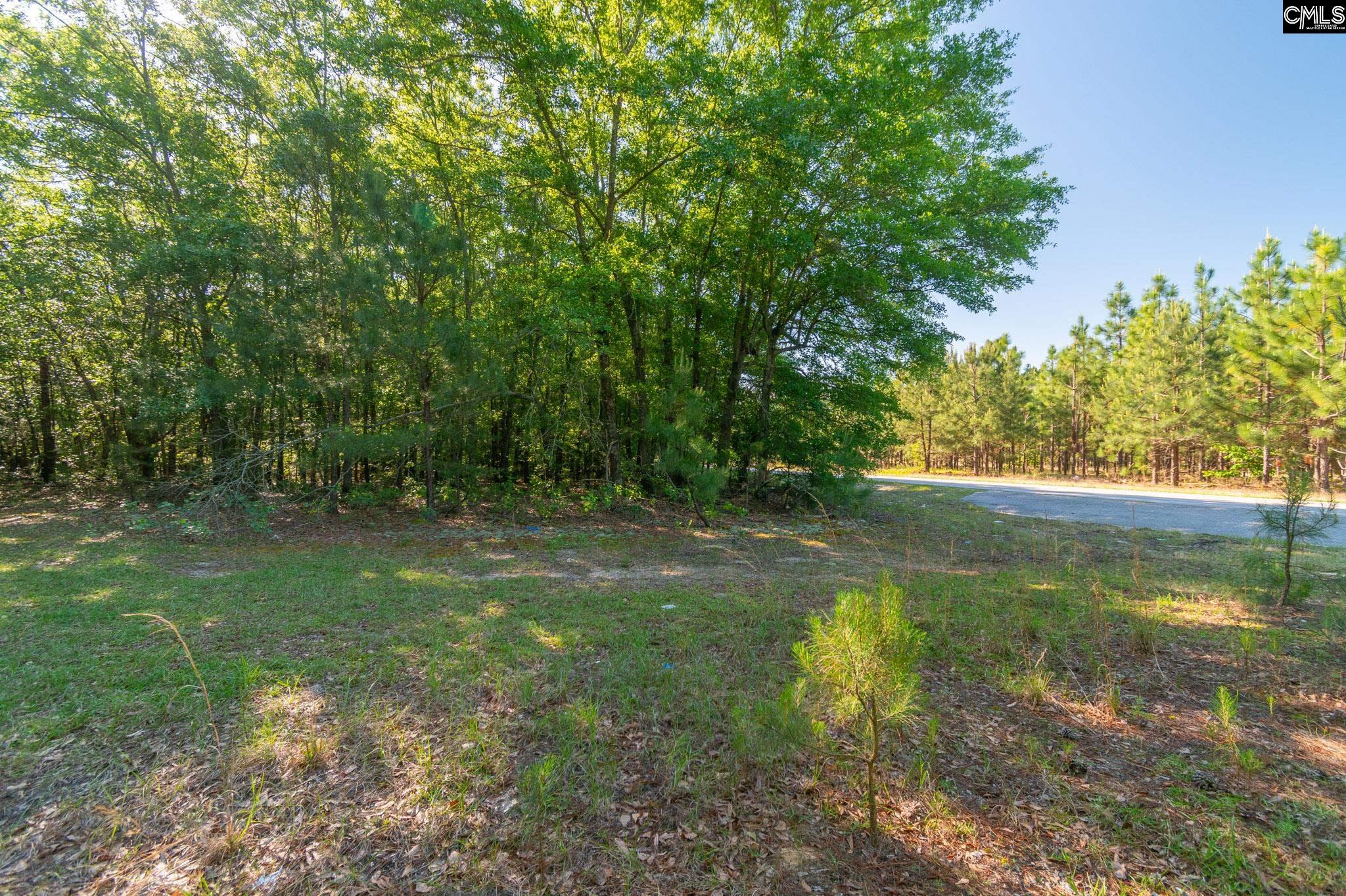 000 Airport Road, Pageland, South Carolina image 7