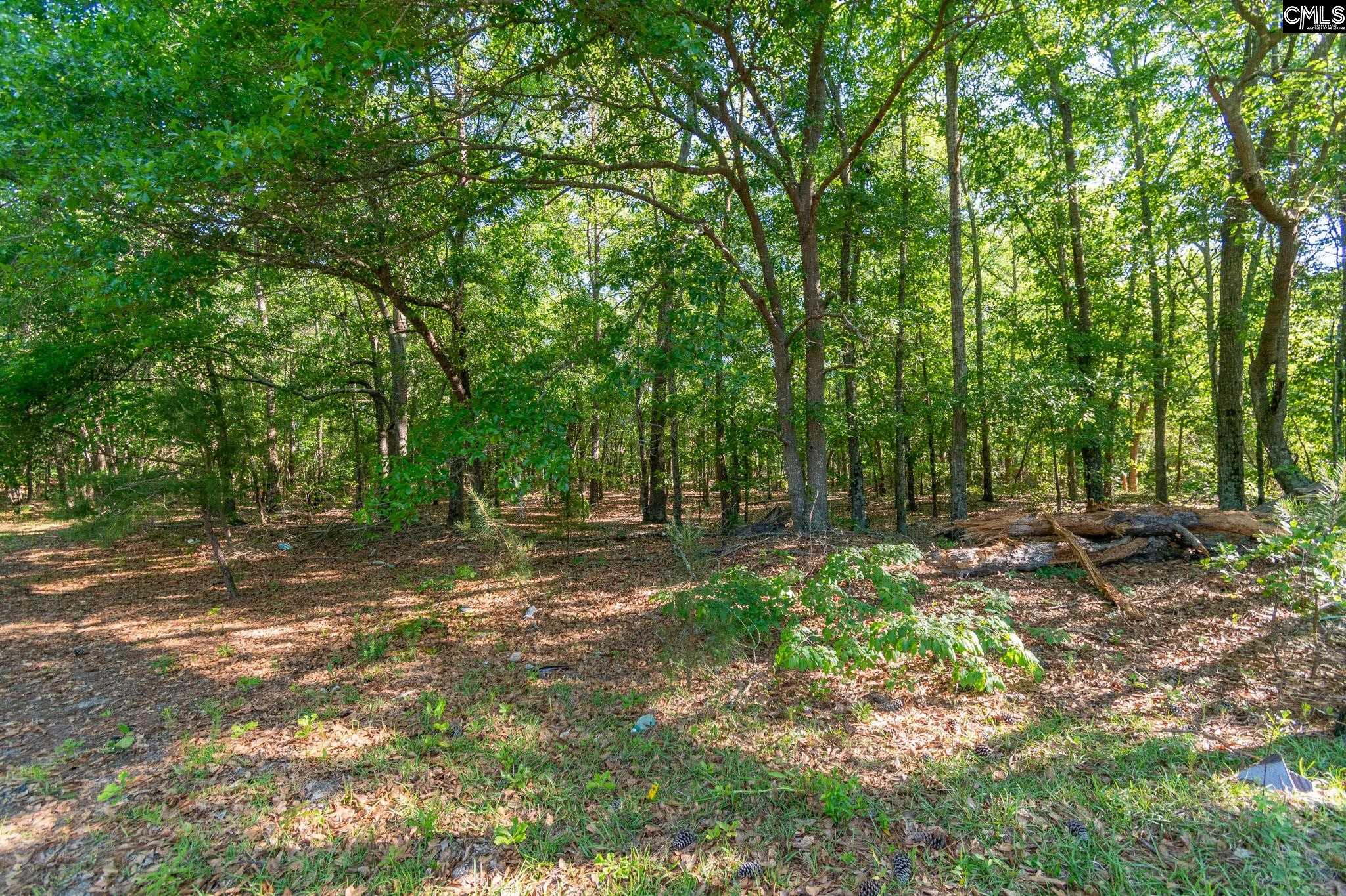 000 Airport Road, Pageland, South Carolina image 8