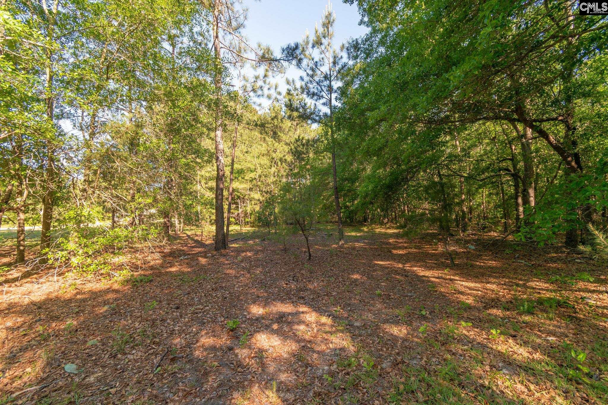000 Airport Road, Pageland, South Carolina image 9