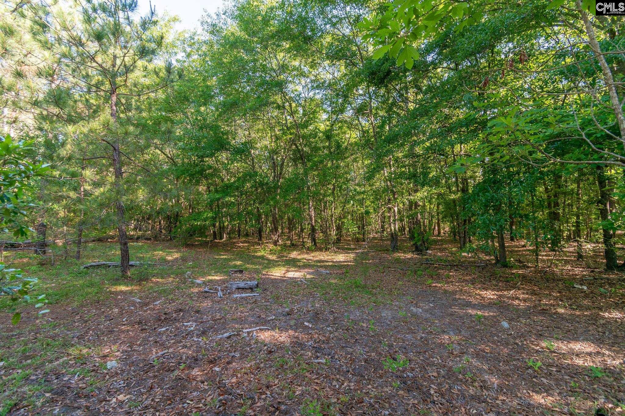000 Airport Road, Pageland, South Carolina image 10