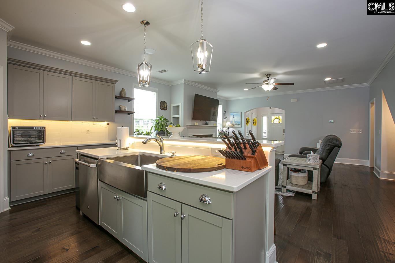 348 Amalfi Drive, Chapin, South Carolina image 12