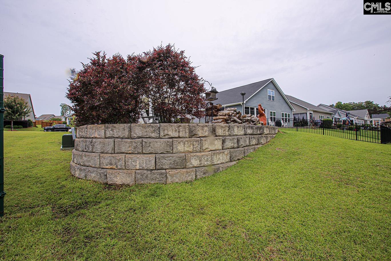 348 Amalfi Drive, Chapin, South Carolina image 31
