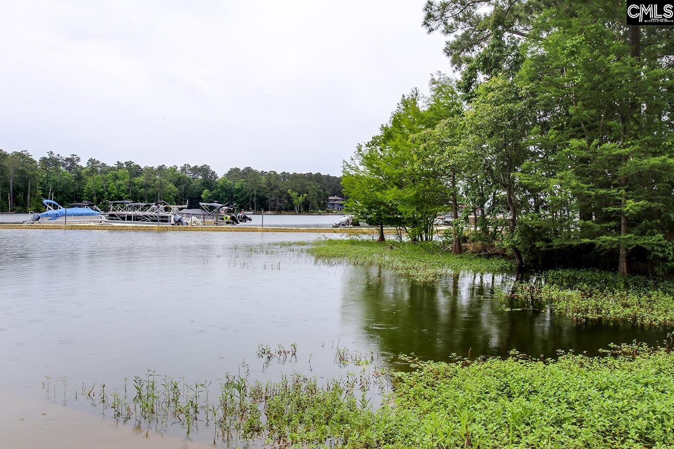348 Amalfi Drive, Chapin, South Carolina image 32