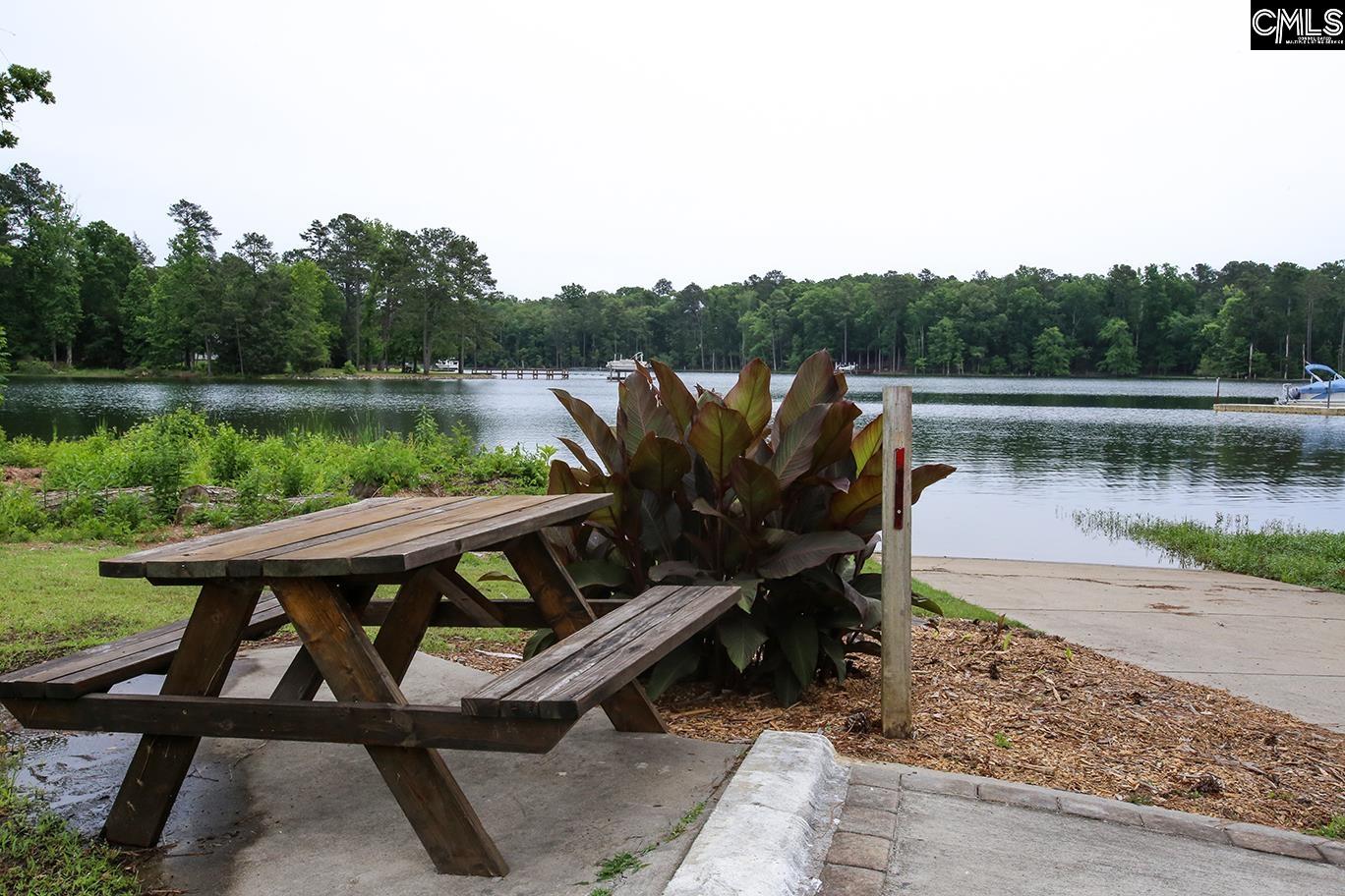 348 Amalfi Drive, Chapin, South Carolina image 44