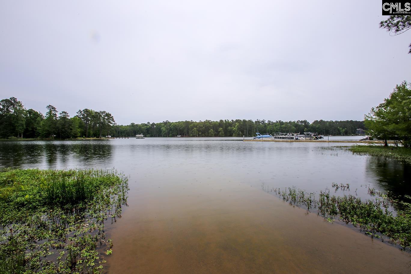 348 Amalfi Drive, Chapin, South Carolina image 45