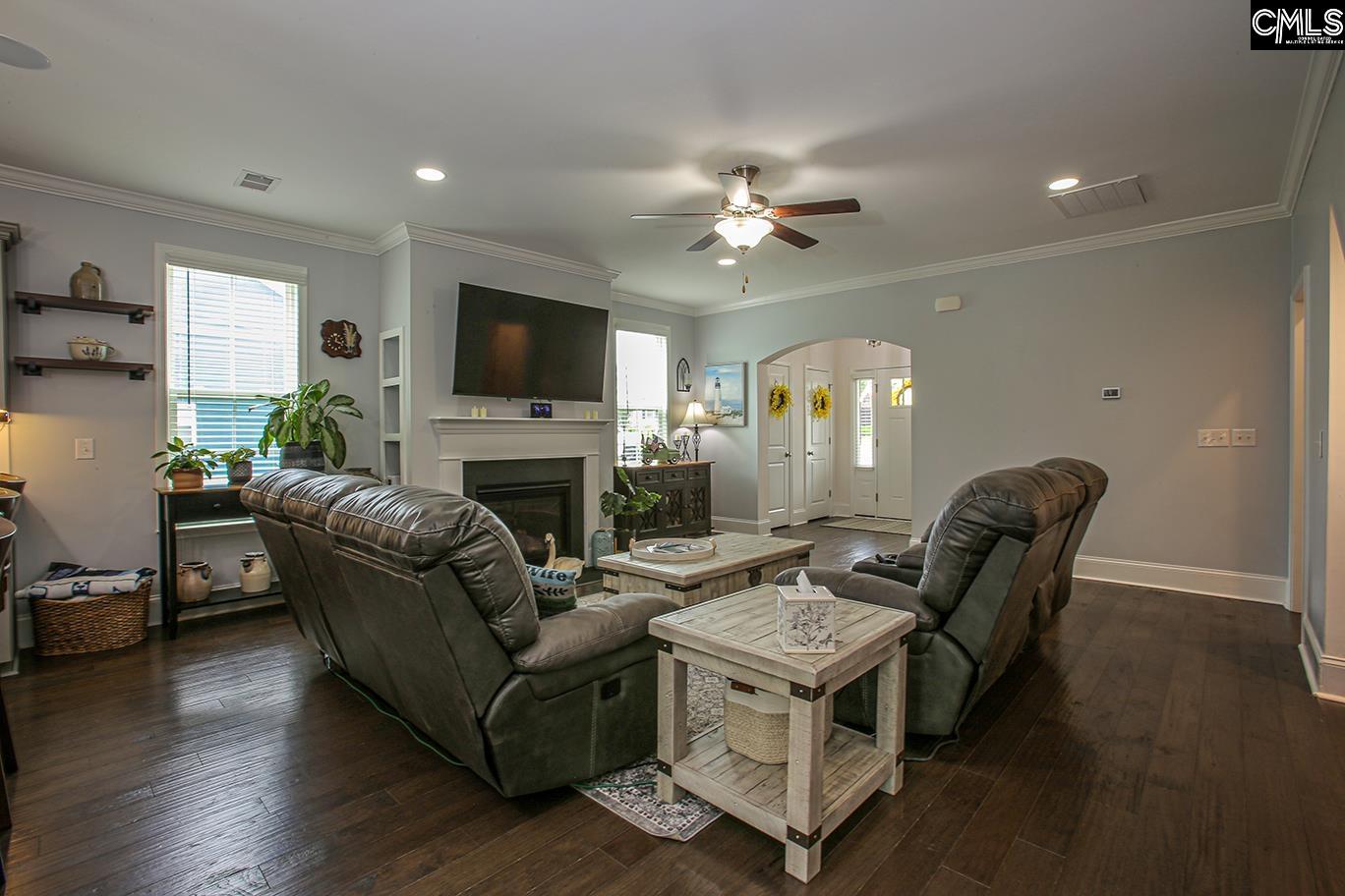 348 Amalfi Drive, Chapin, South Carolina image 7