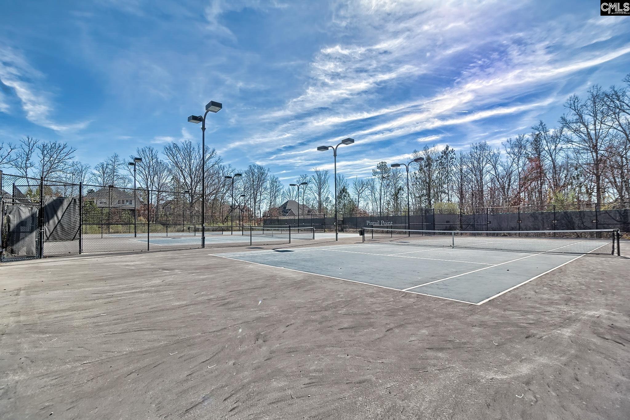 64 Downing Circle, Gilbert, South Carolina image 45