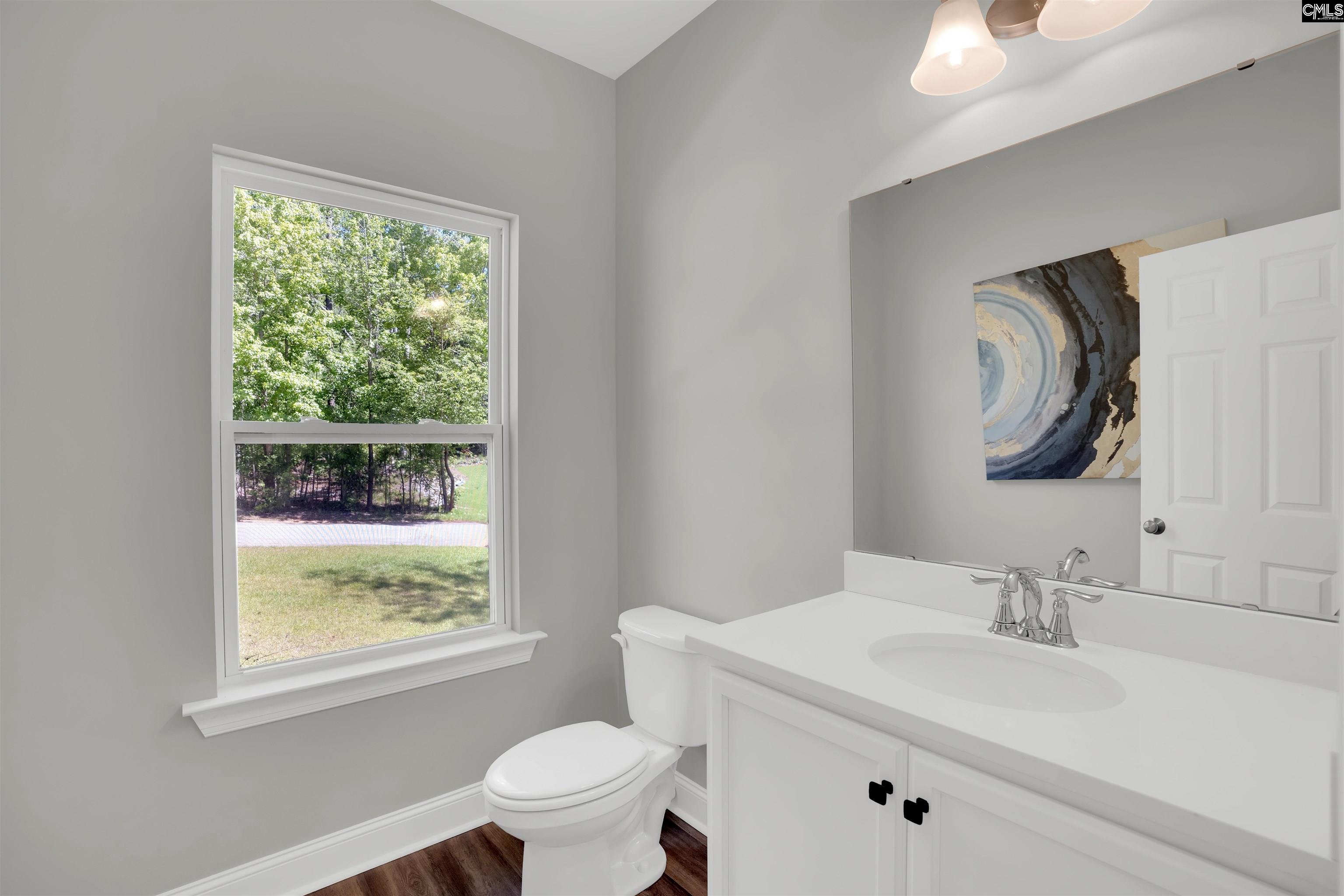 509 Links Pointe Court, Chapin, South Carolina image 26