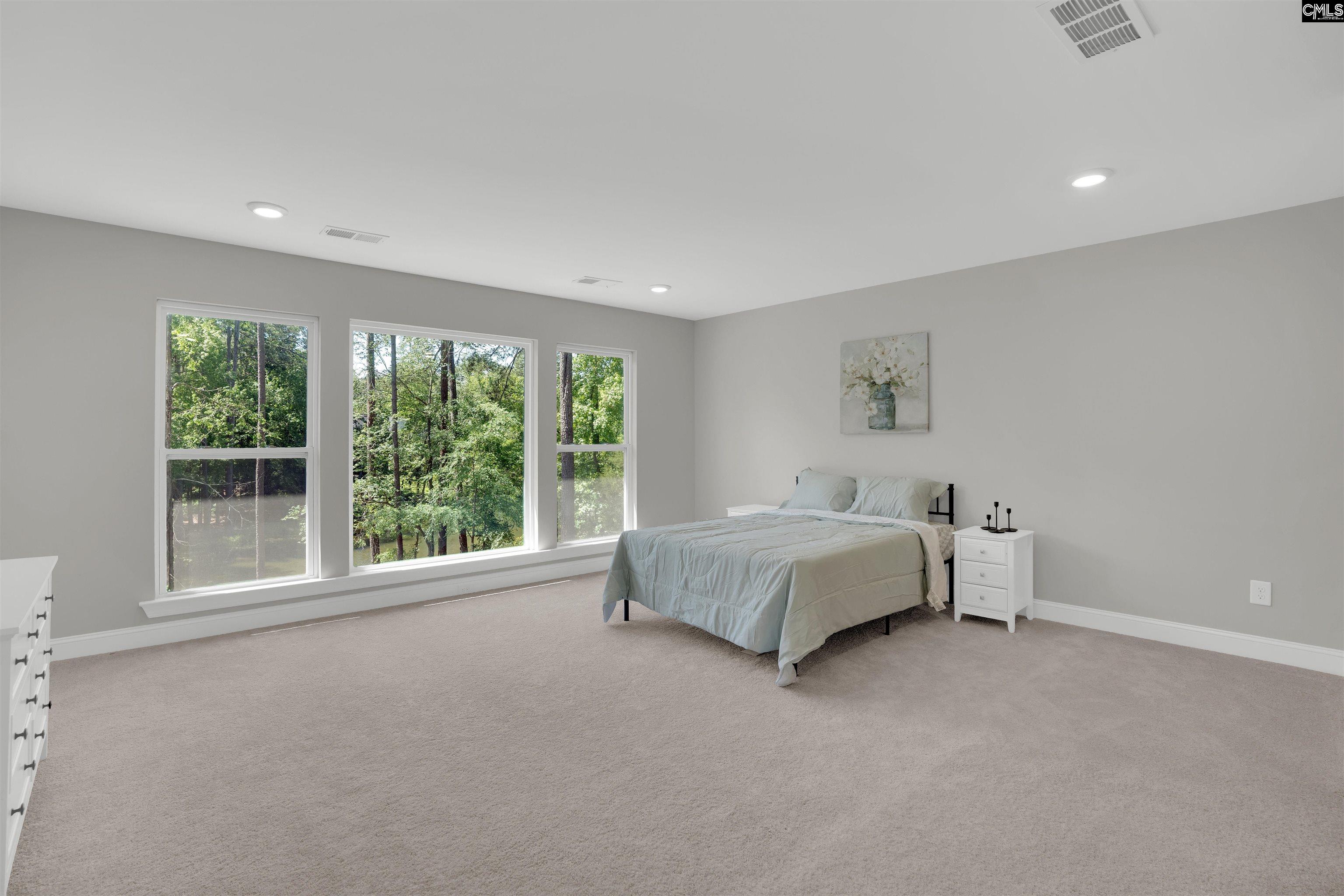 509 Links Pointe Court, Chapin, South Carolina image 29