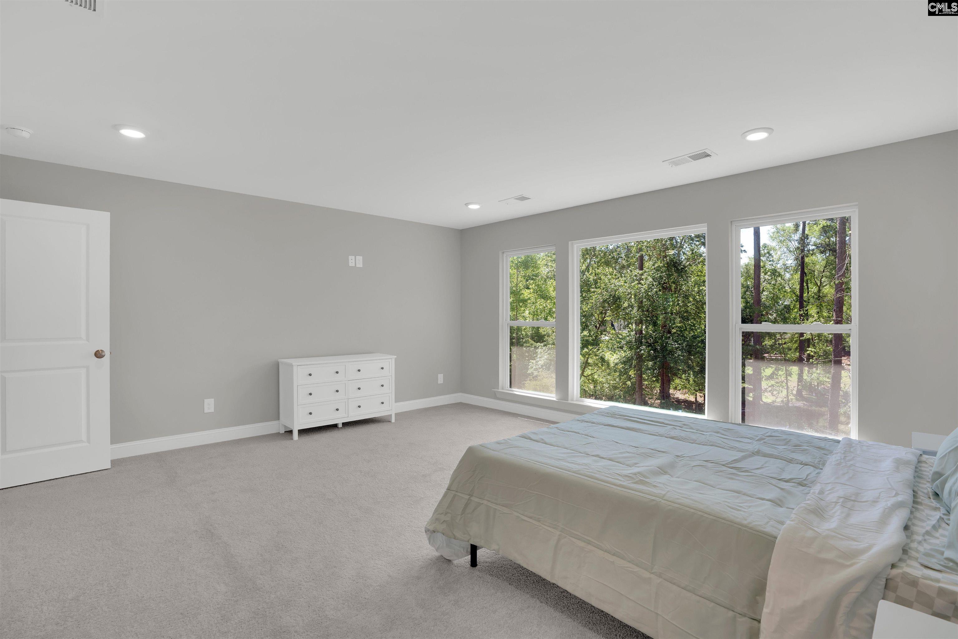 509 Links Pointe Court, Chapin, South Carolina image 30