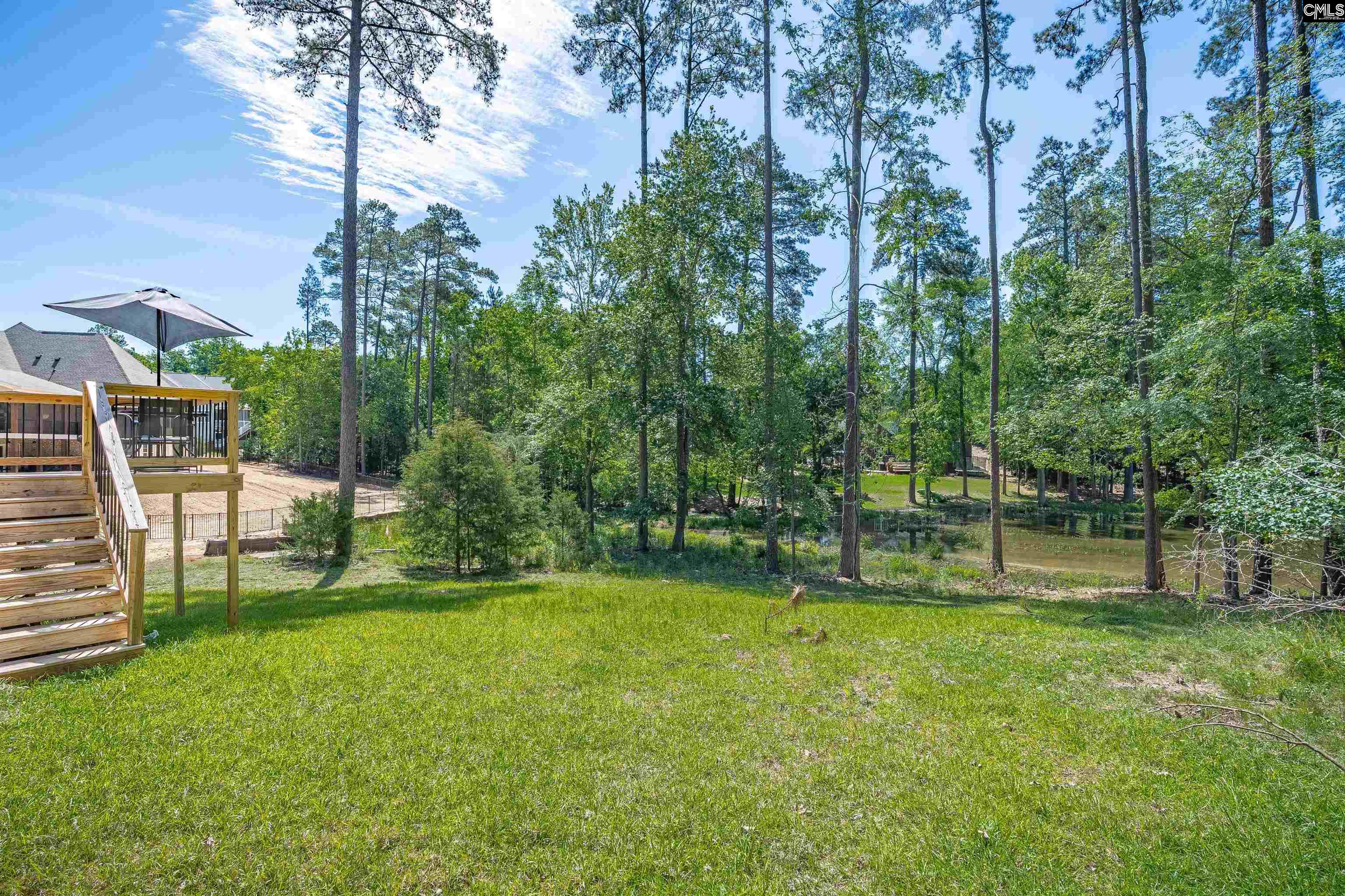 509 Links Pointe Court, Chapin, South Carolina image 48