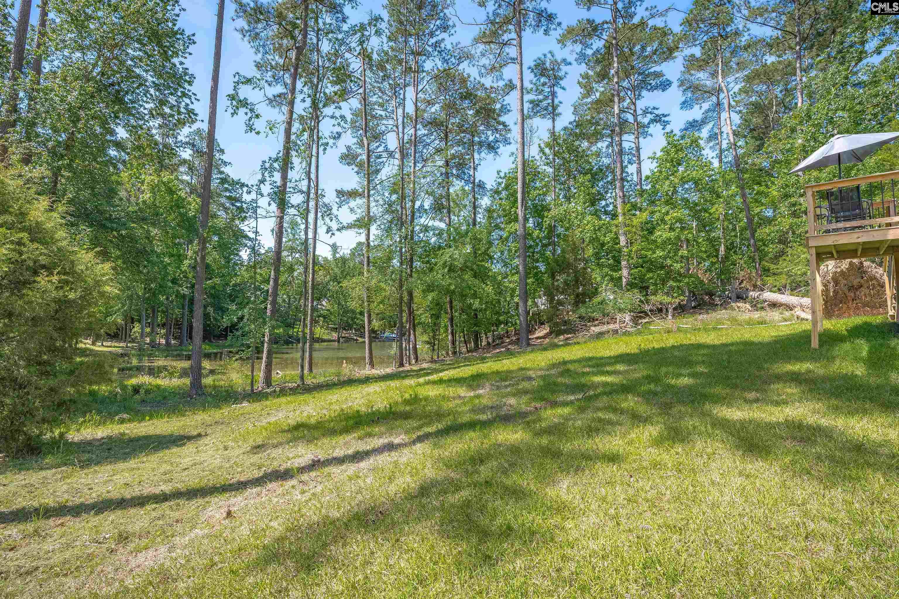 509 Links Pointe Court, Chapin, South Carolina image 49
