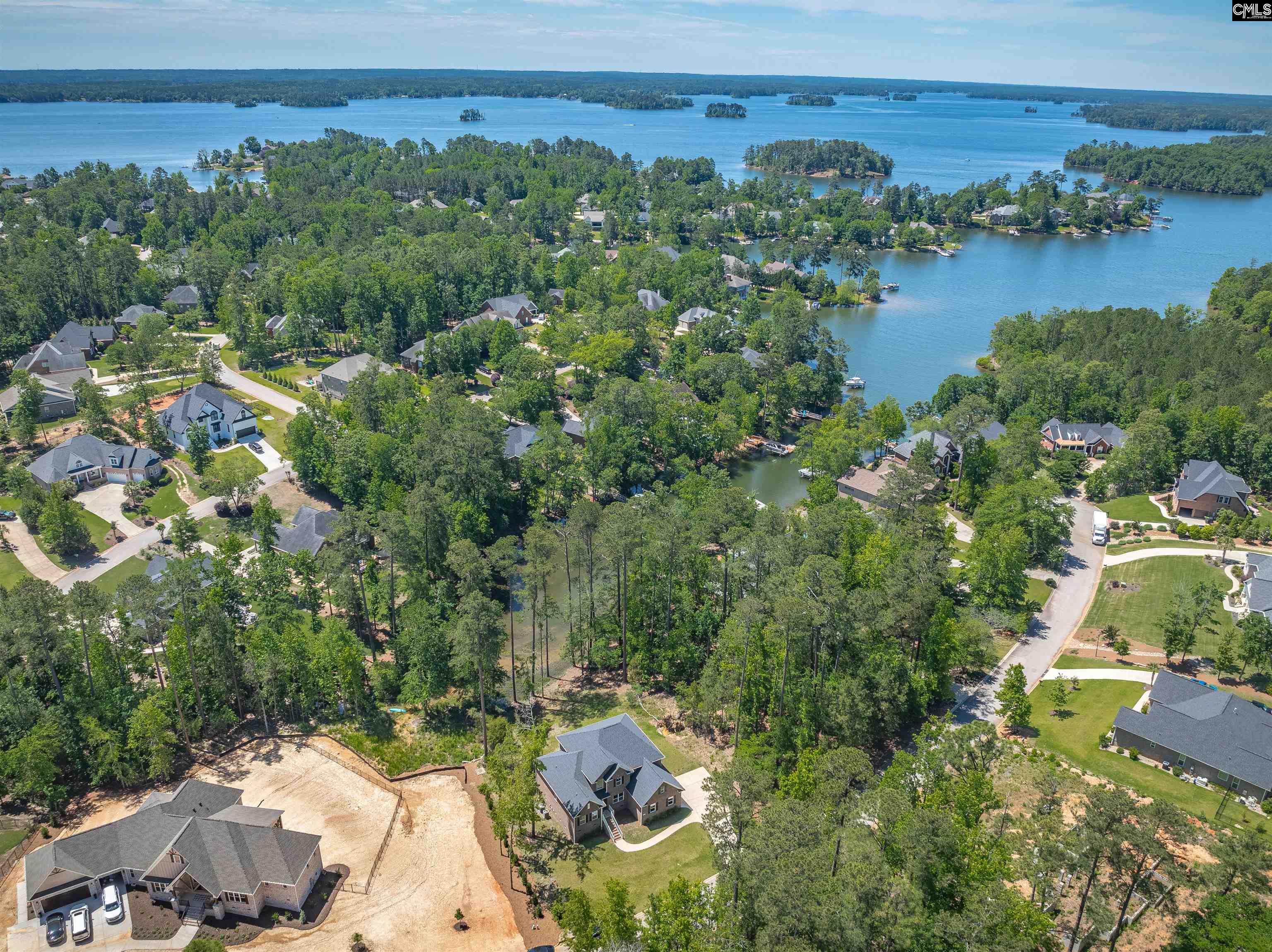 509 Links Pointe Court, Chapin, South Carolina image 9