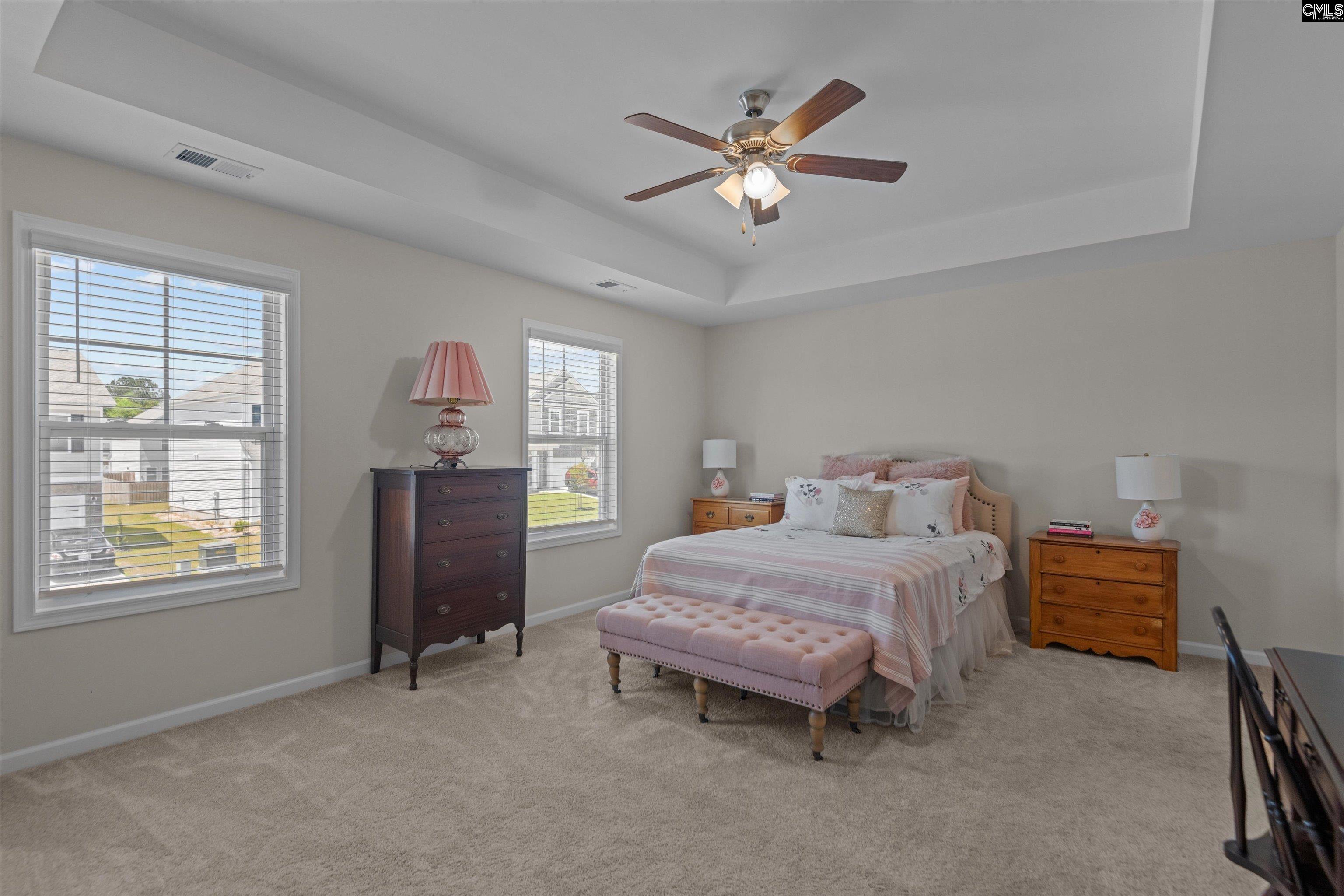 255 Honey Hill Way, Blythewood, South Carolina image 12