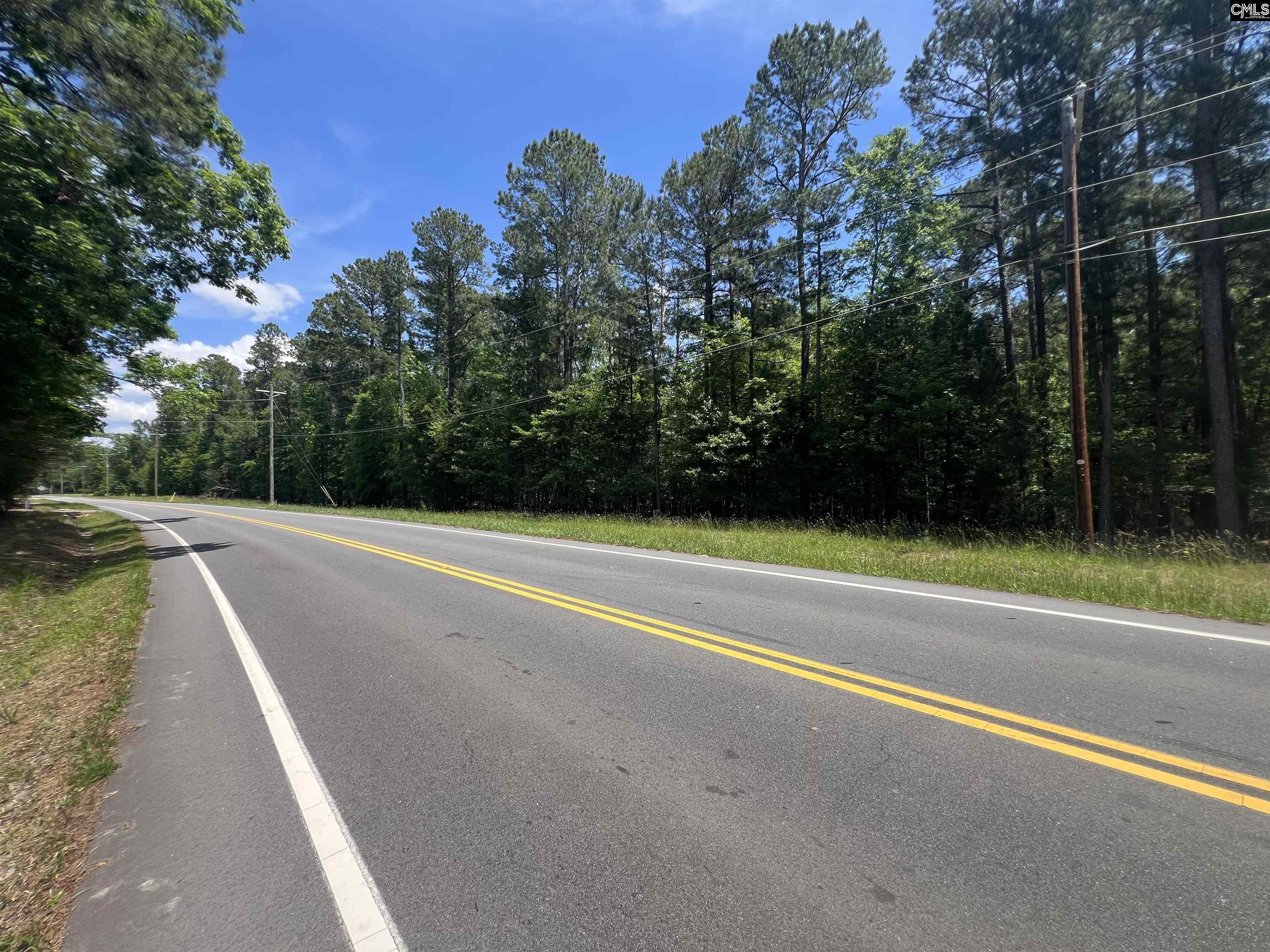 Murray Lindler Road, Chapin, South Carolina image 3