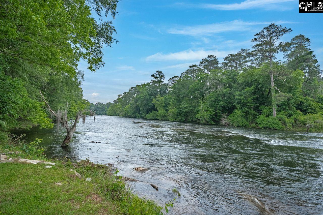 1717 Mcswain Drive, West Columbia, South Carolina image 43