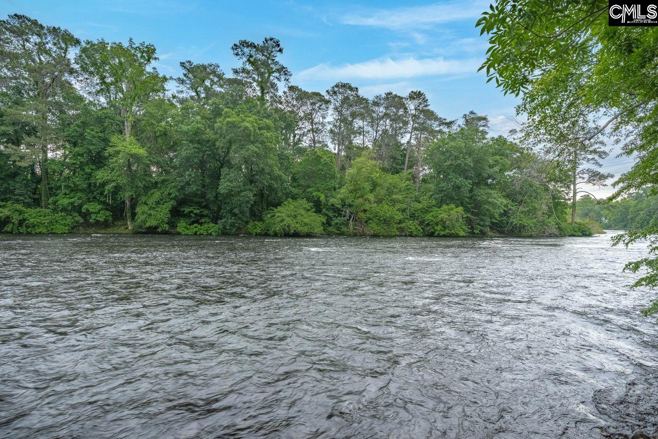 1717 Mcswain Drive, West Columbia, South Carolina image 44