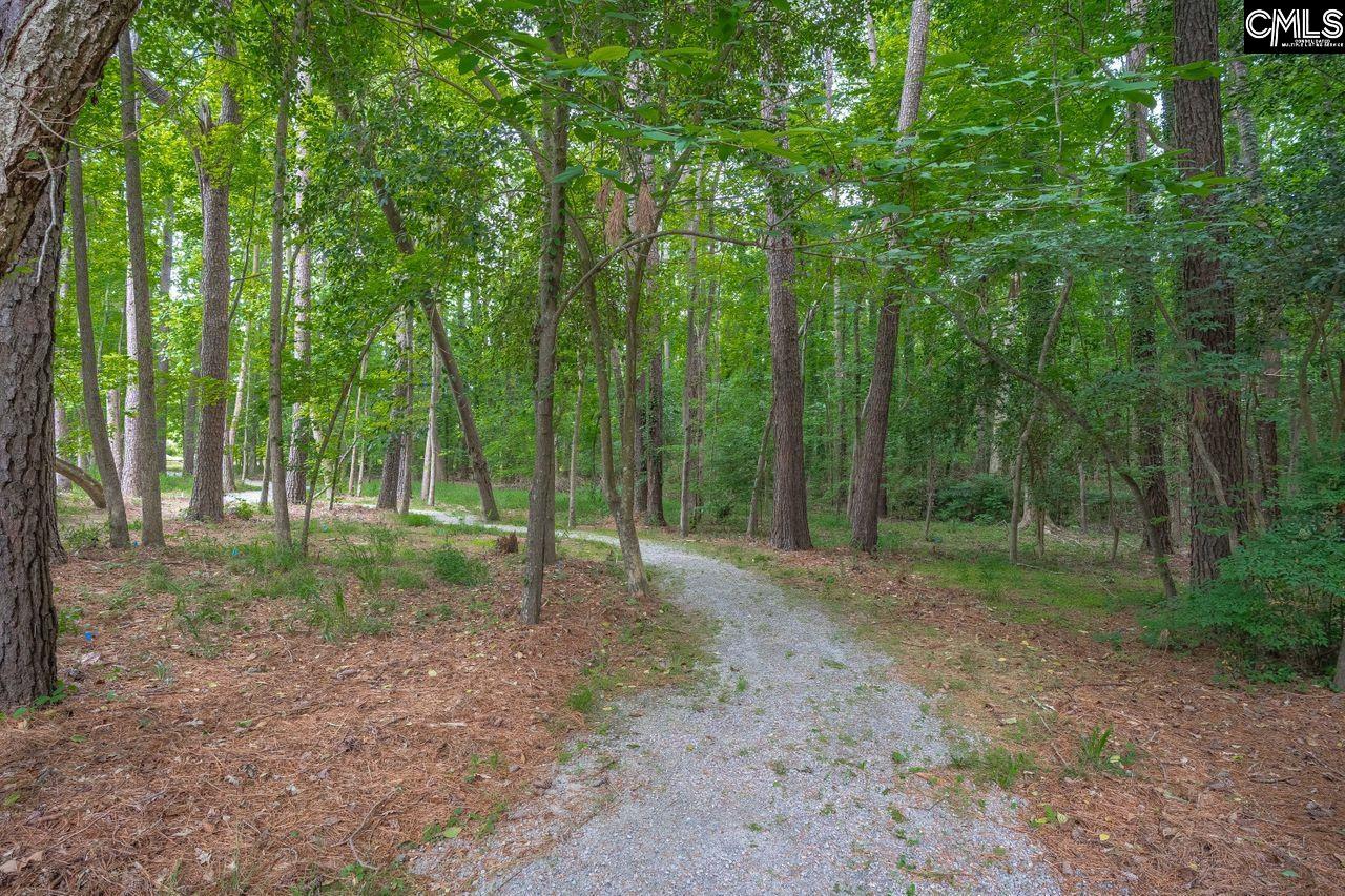 1717 Mcswain Drive, West Columbia, South Carolina image 46