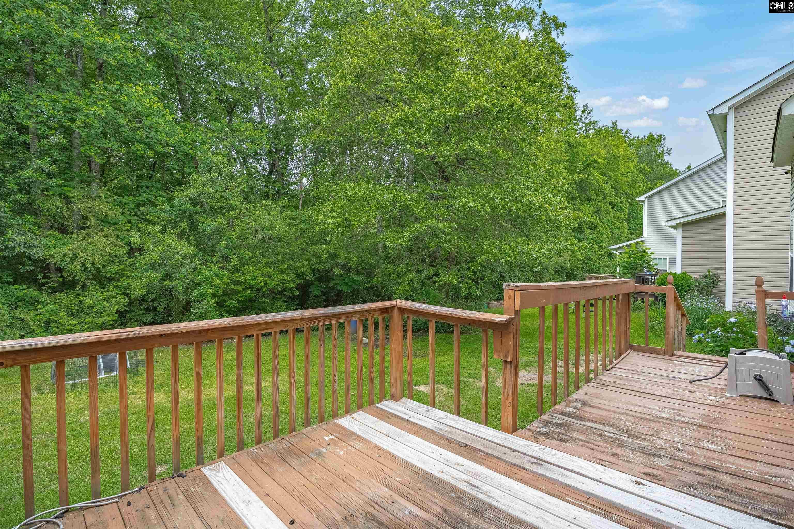 231 Cinnamon Hills Lane, Lexington, South Carolina image 35