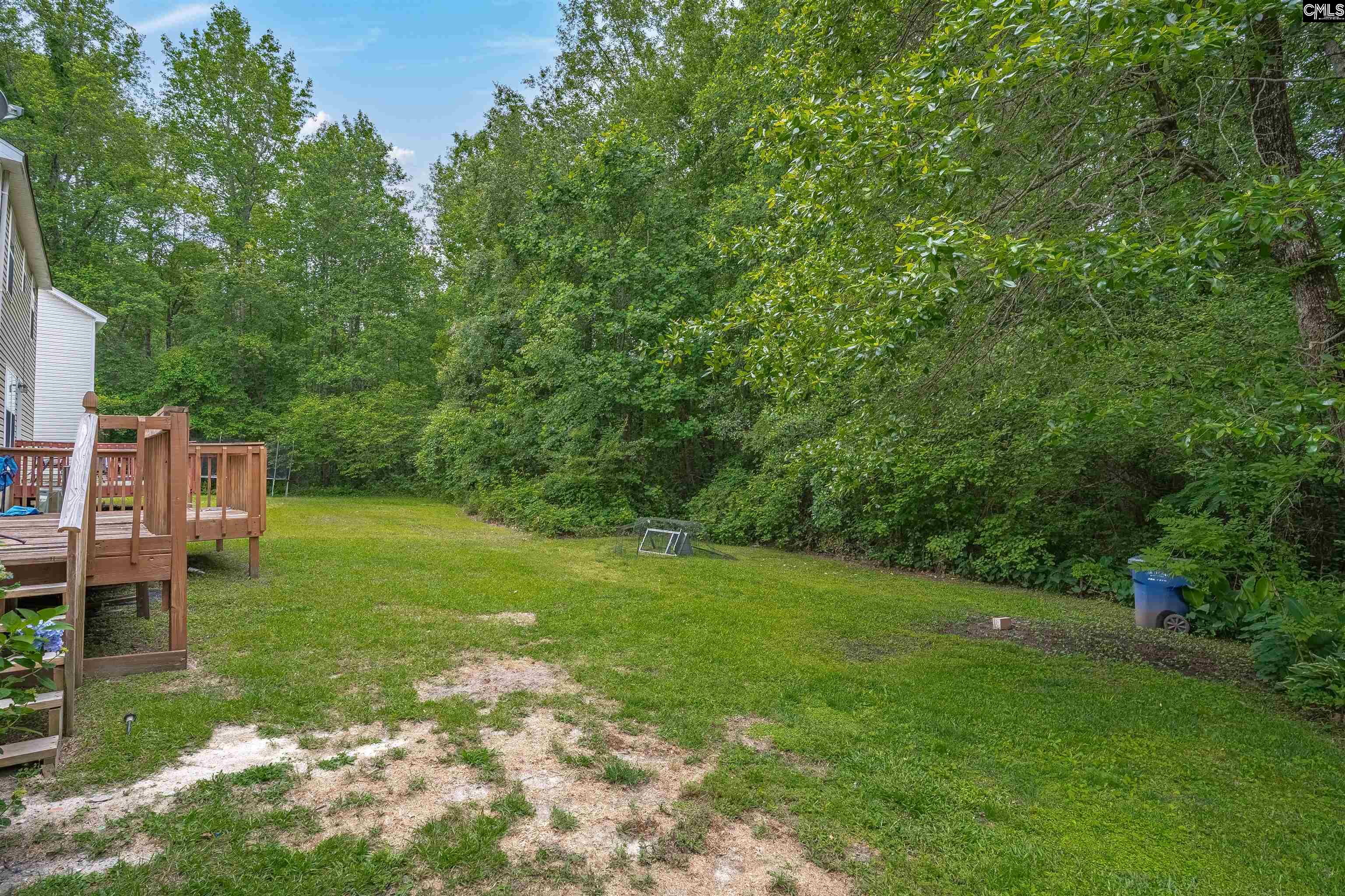 231 Cinnamon Hills Lane, Lexington, South Carolina image 38
