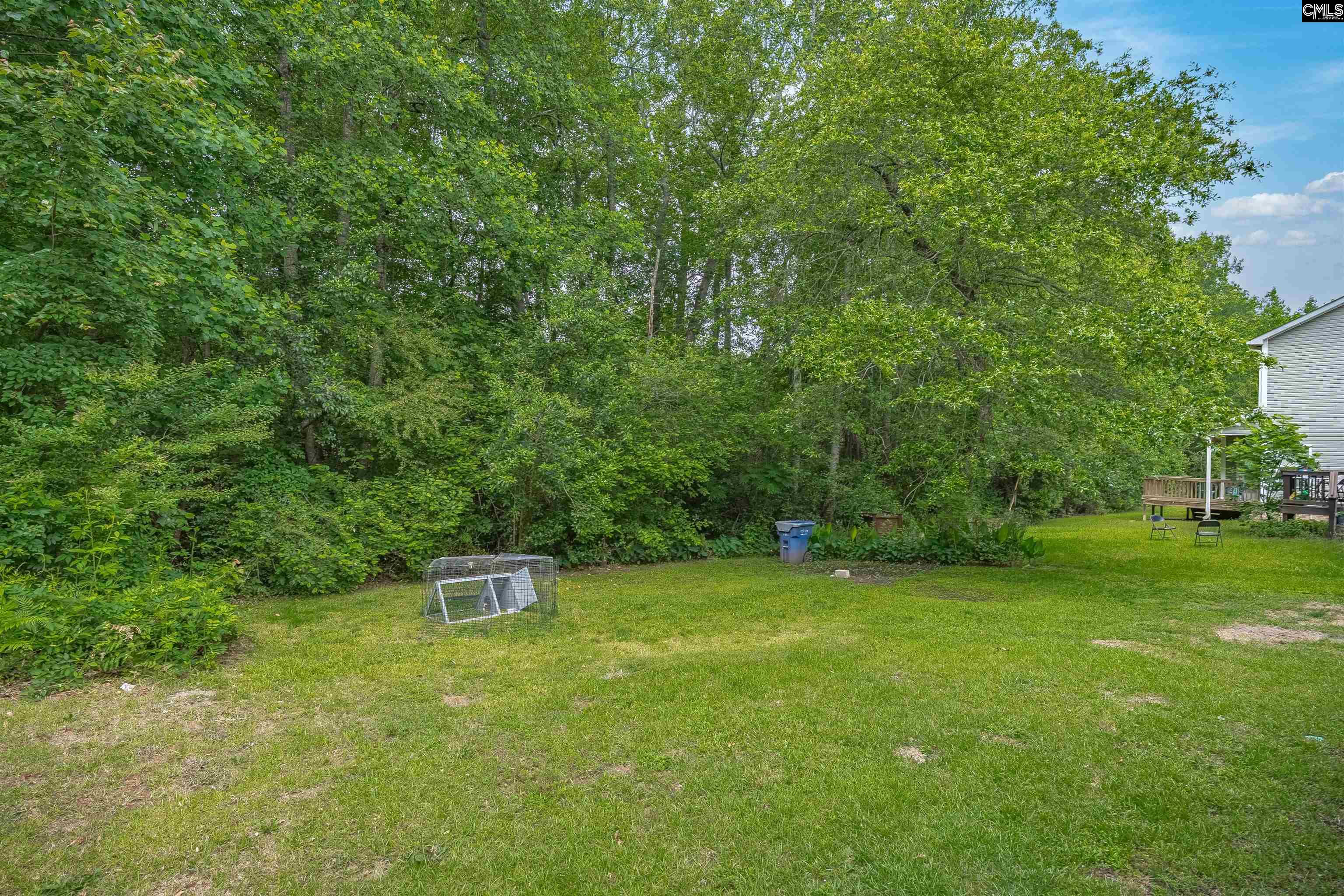 231 Cinnamon Hills Lane, Lexington, South Carolina image 41
