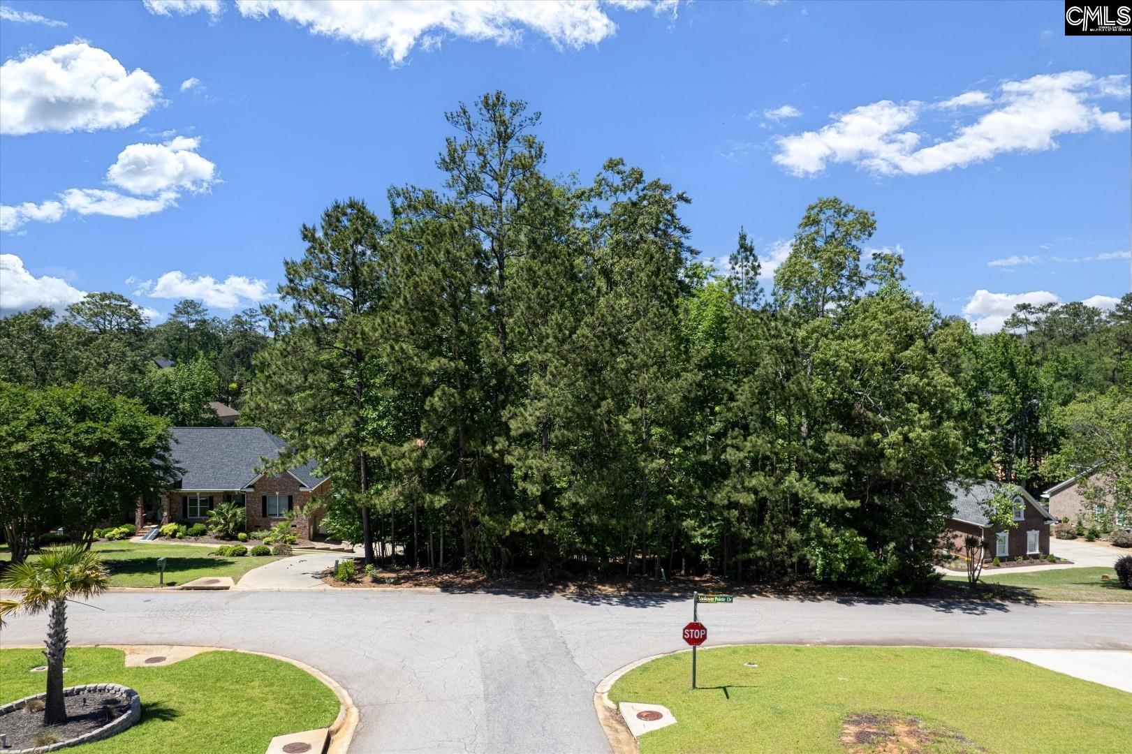 416 Lookover Pointe Drive, Chapin, South Carolina image 7