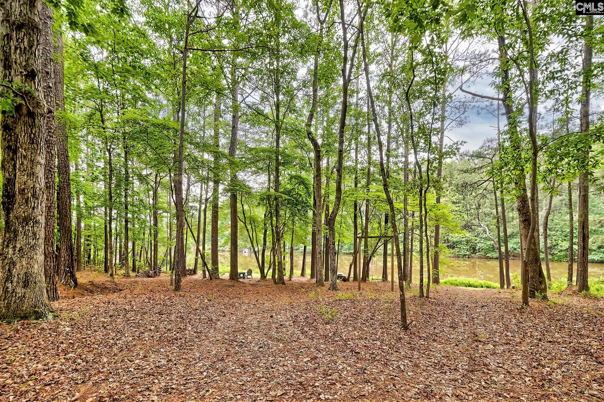 133 Westlake Farms Drive, Blythewood, South Carolina image 15