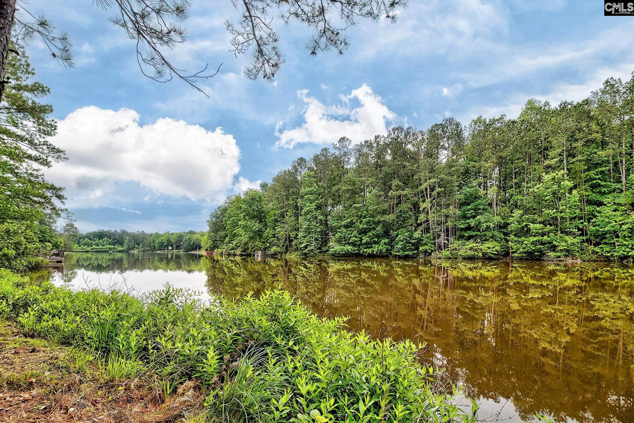 133 Westlake Farms Drive, Blythewood, South Carolina image 18