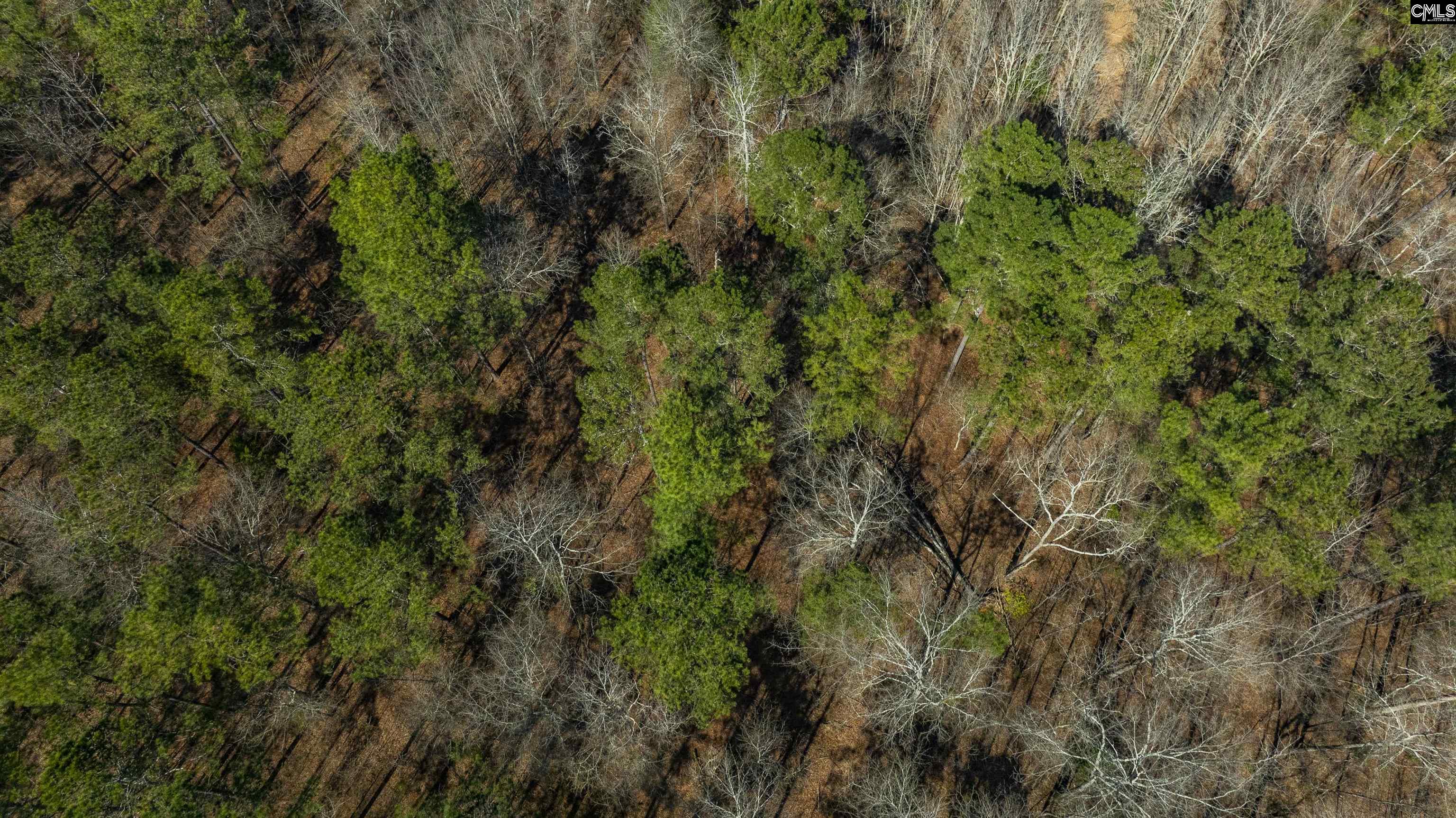 Duncan Road, Batesburg, South Carolina image 11