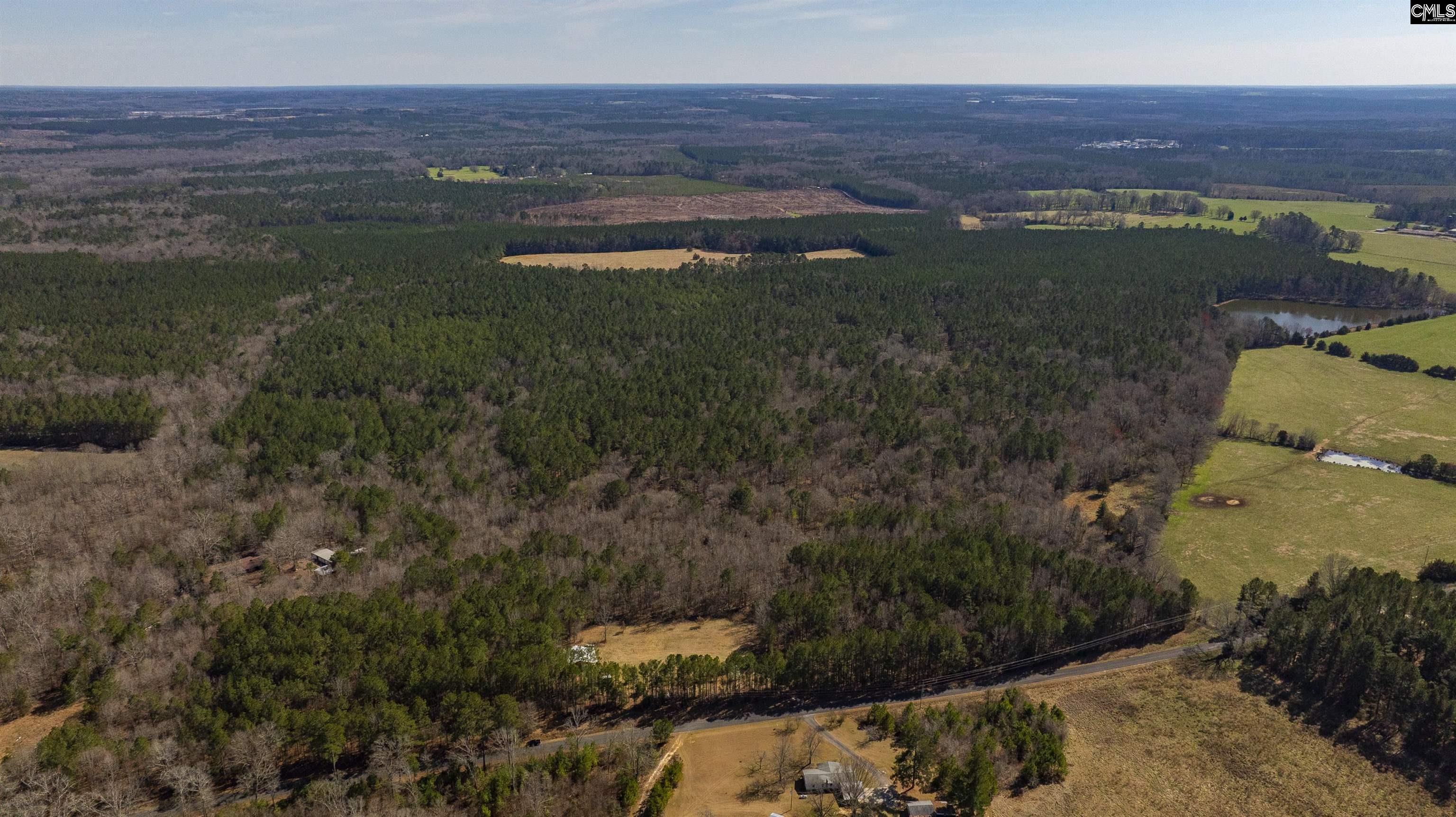 Duncan Road, Batesburg, South Carolina image 12