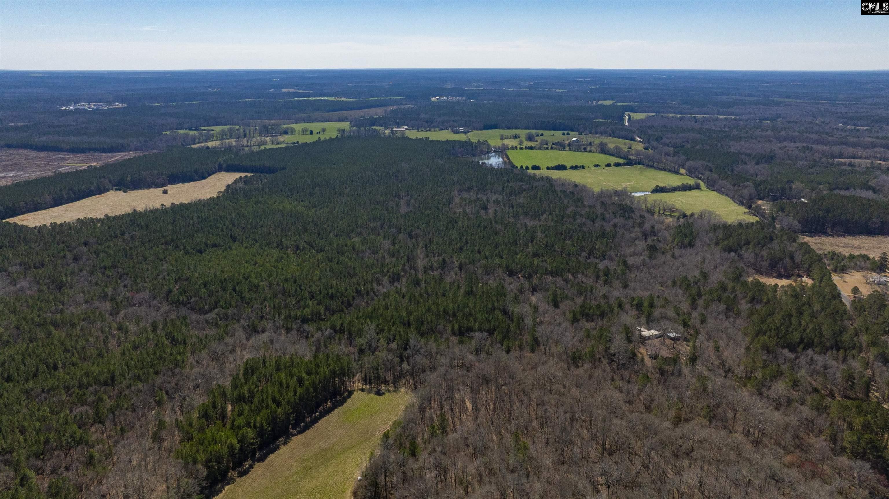 Duncan Road, Batesburg, South Carolina image 4