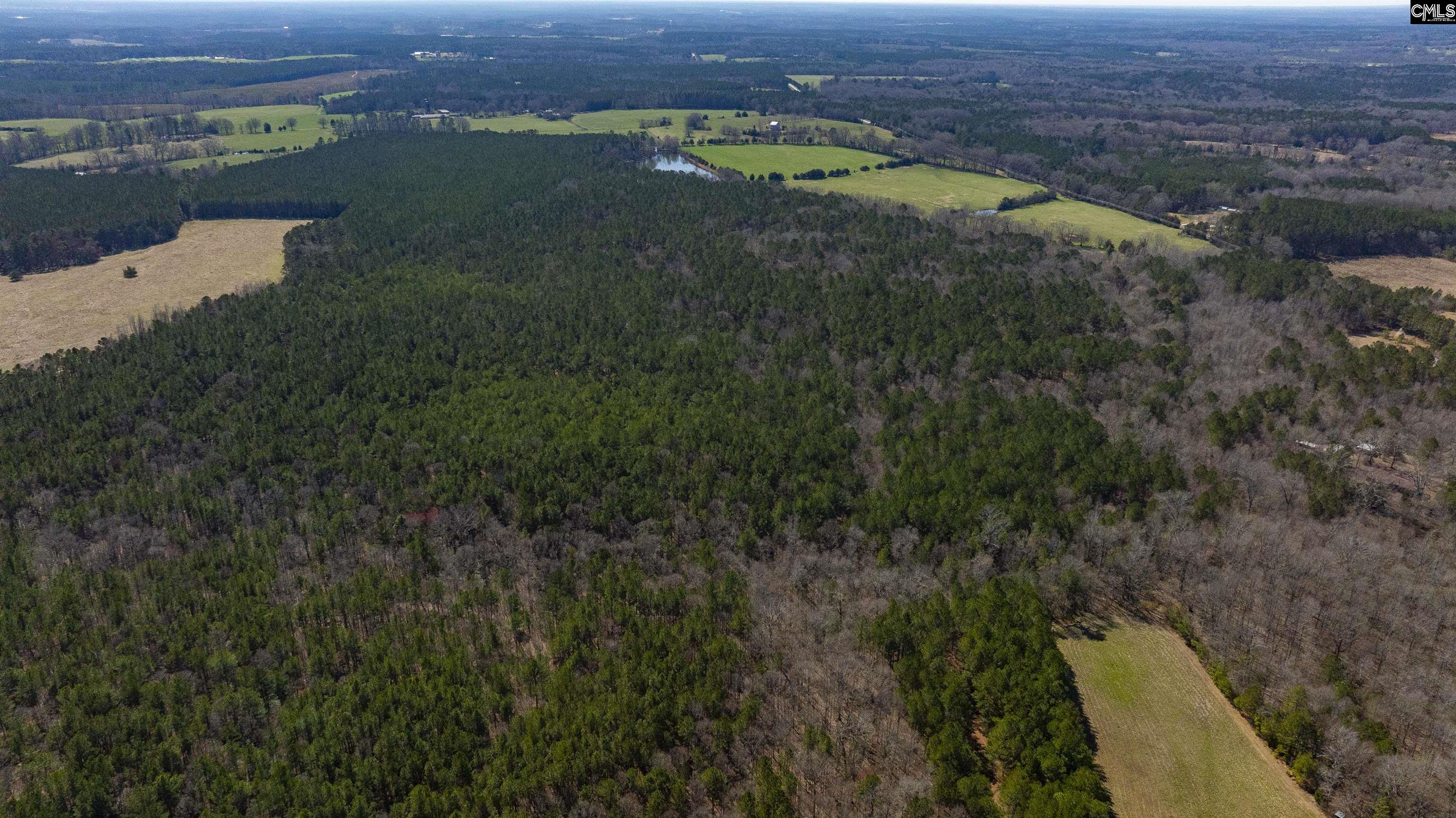 Duncan Road, Batesburg, South Carolina image 5
