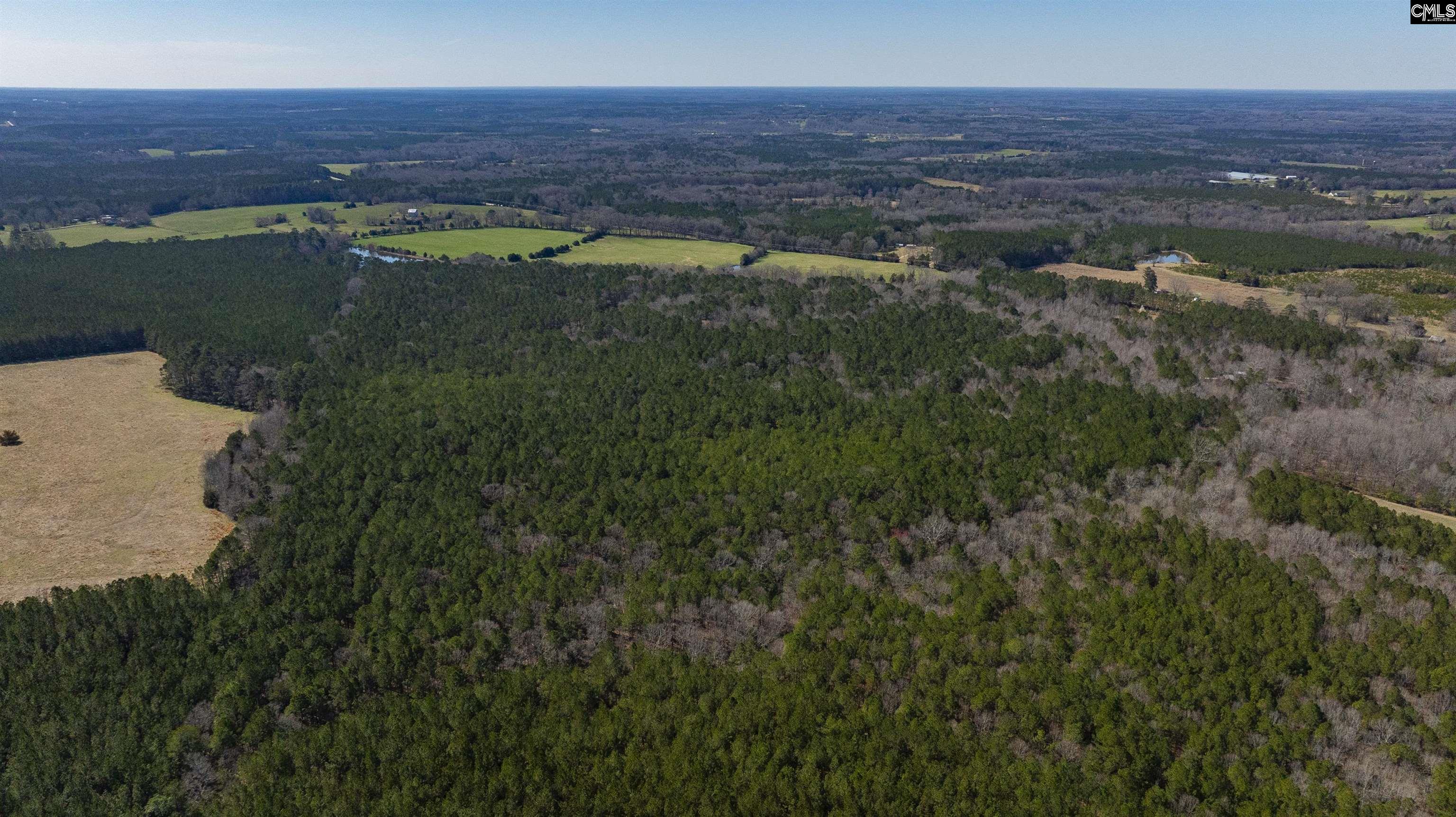 Duncan Road, Batesburg, South Carolina image 6