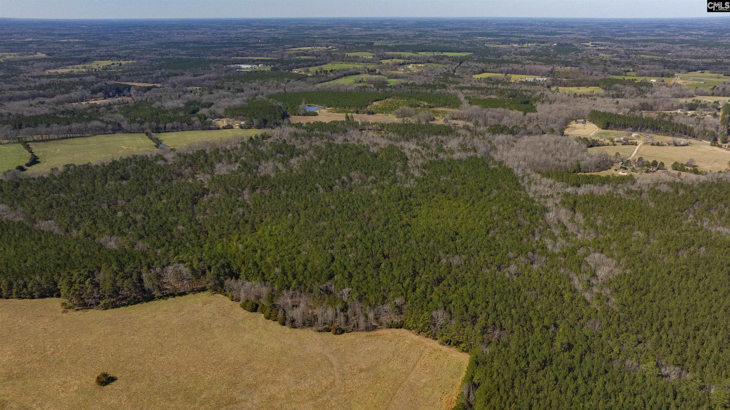 Duncan Road, Batesburg, South Carolina image 7