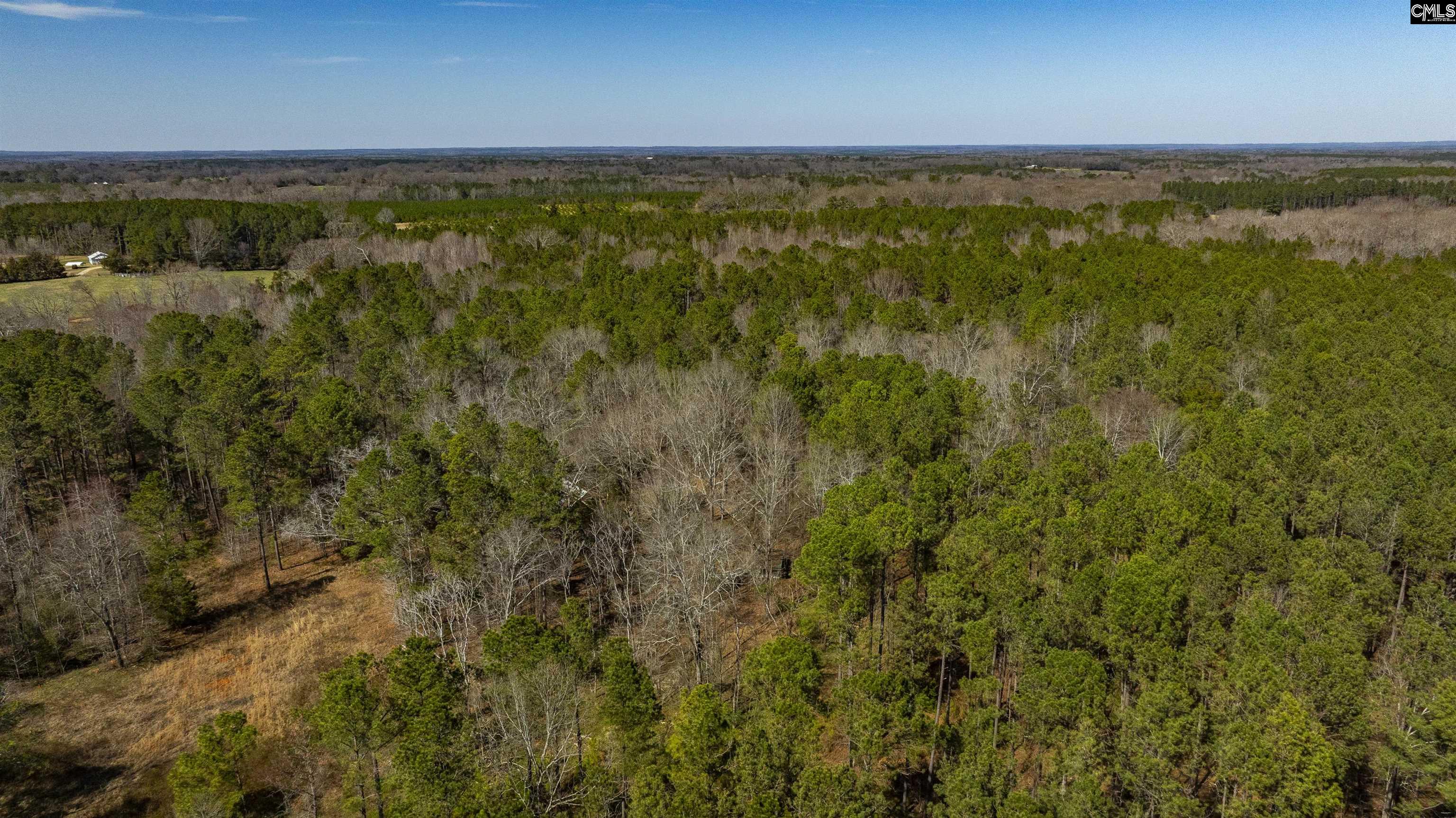 Duncan Road, Batesburg, South Carolina image 10