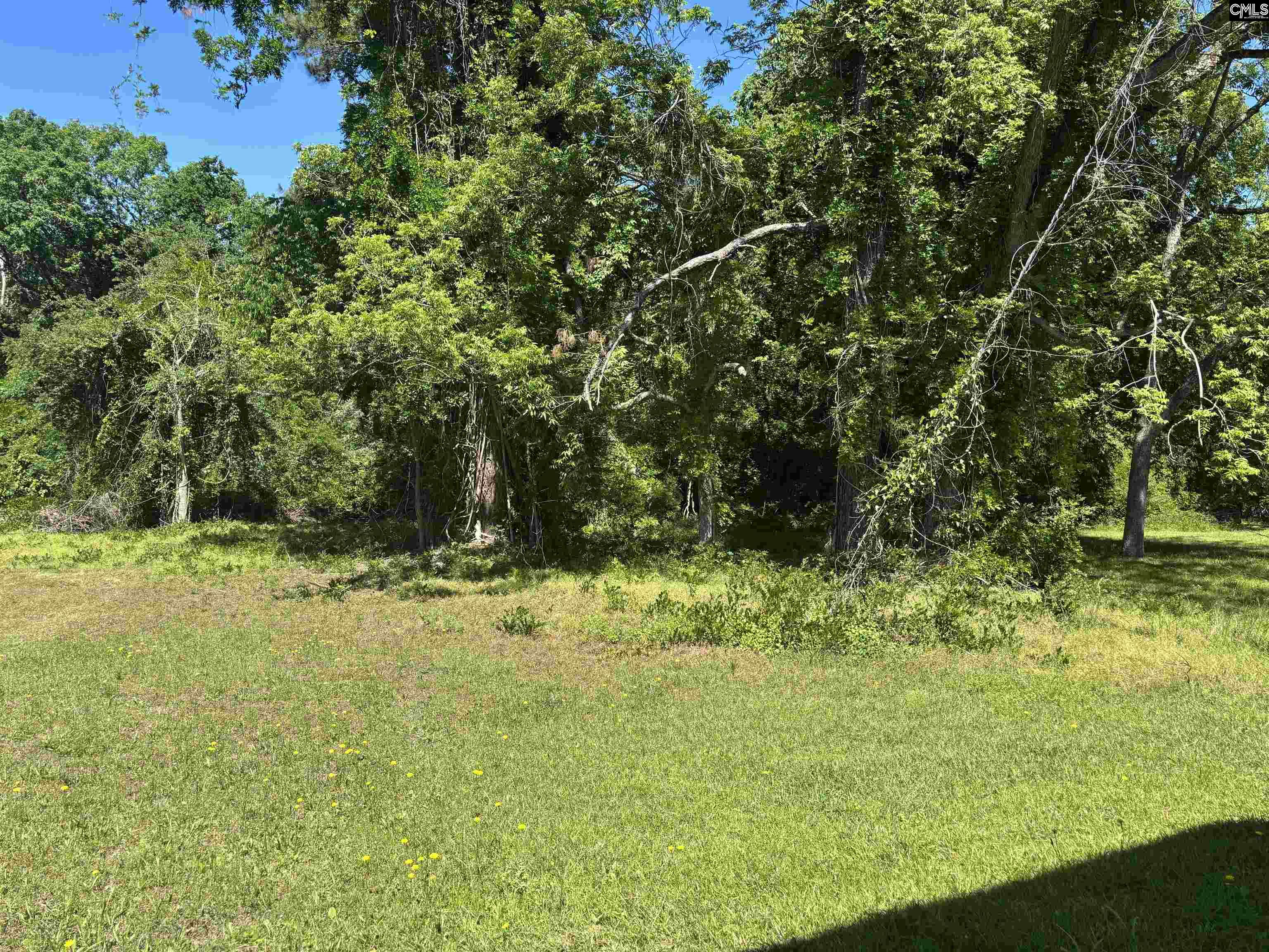 127 Feaster, Whitmire, South Carolina image 2