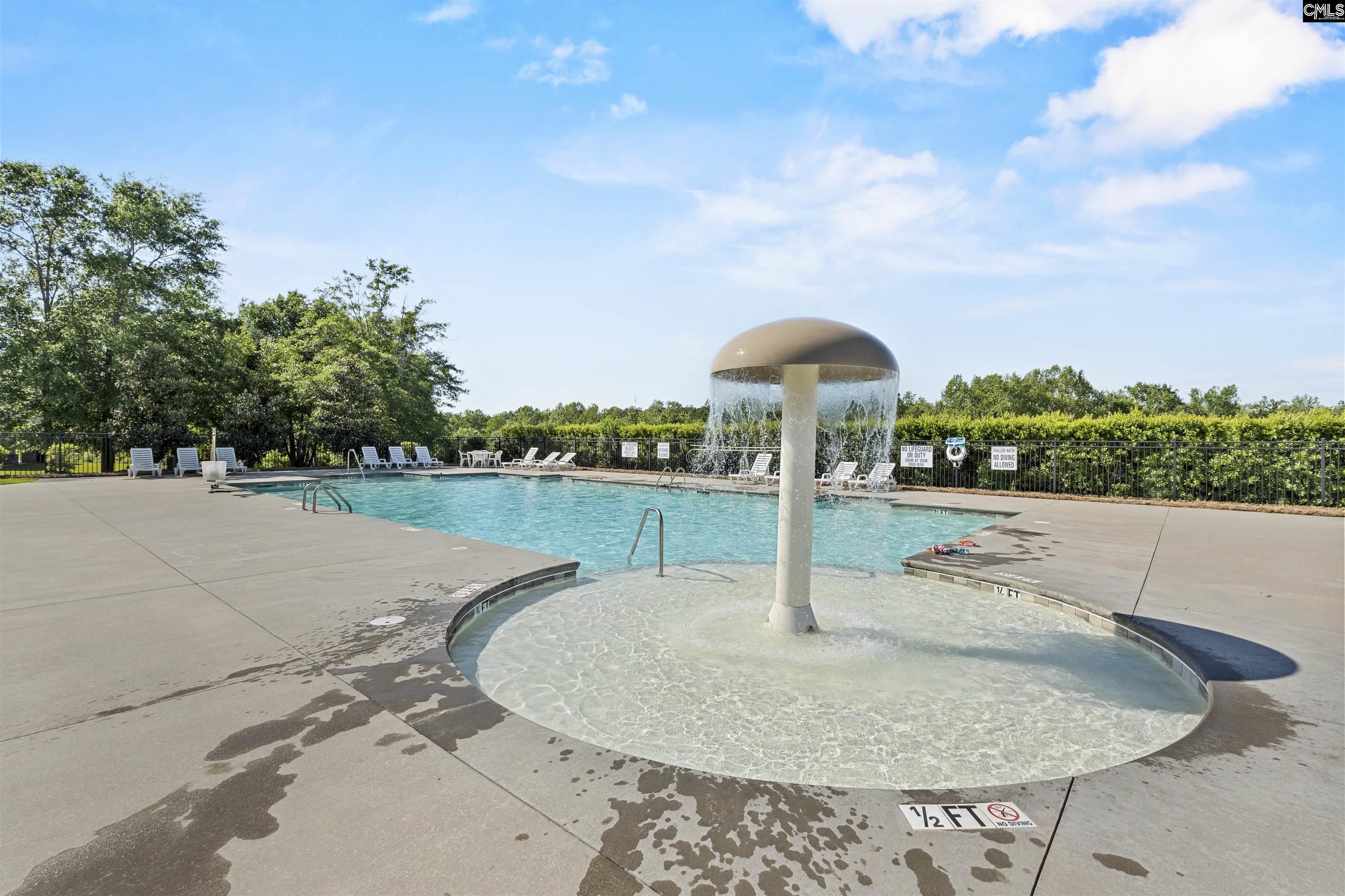 1176 Long Ridge Way, Lexington, South Carolina image 37