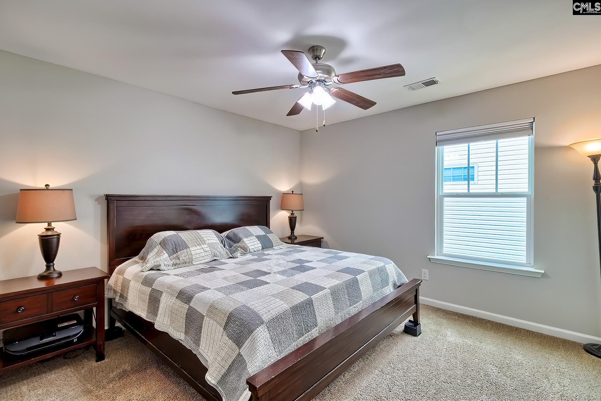 921 Native Rye Way, Lexington, South Carolina image 19
