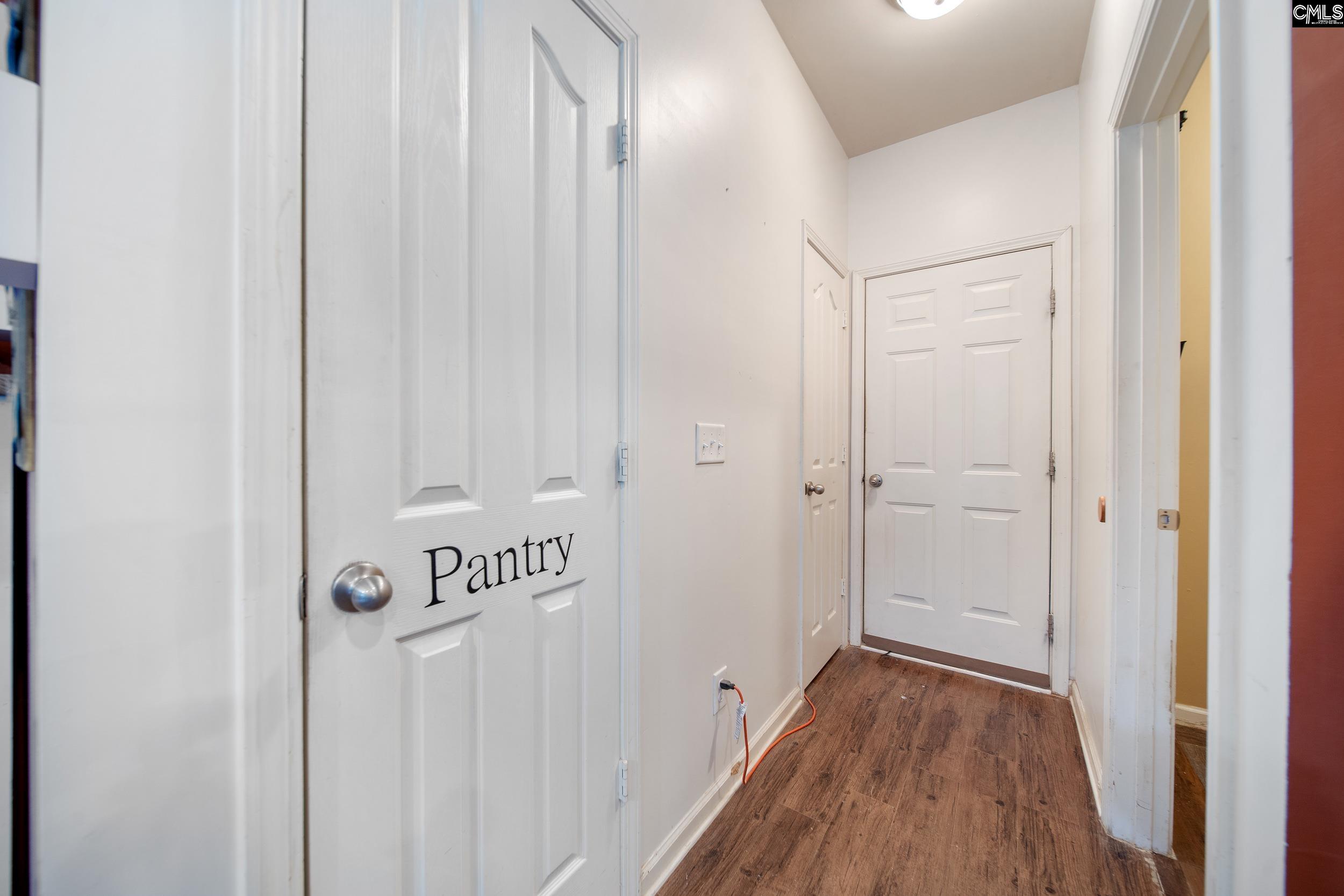 707 Soldier Grey Lane, Chapin, South Carolina image 17