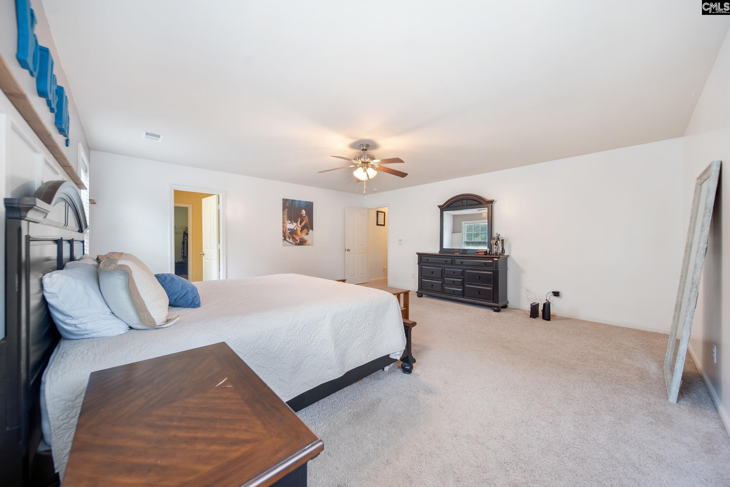 707 Soldier Grey Lane, Chapin, South Carolina image 21