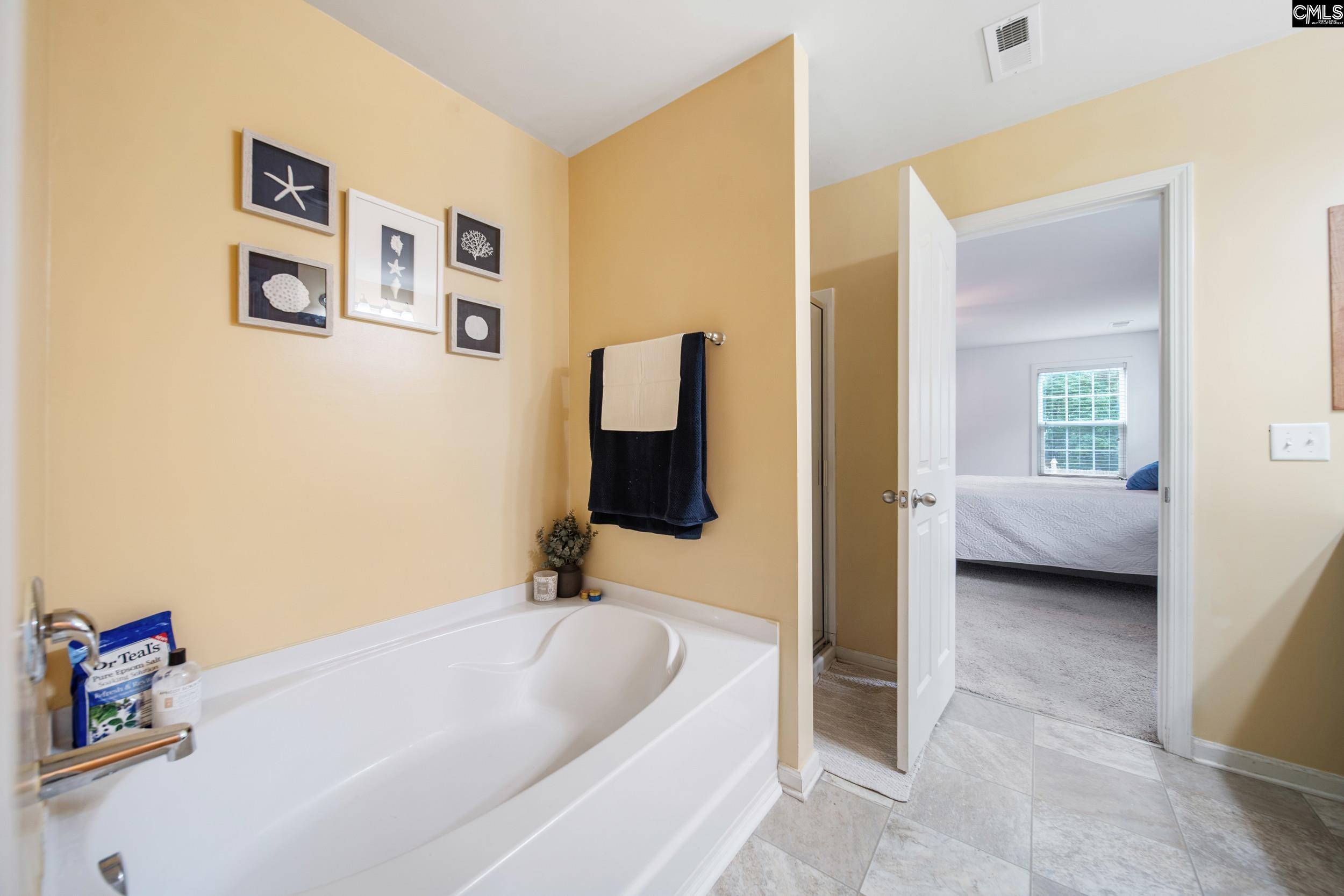 707 Soldier Grey Lane, Chapin, South Carolina image 23