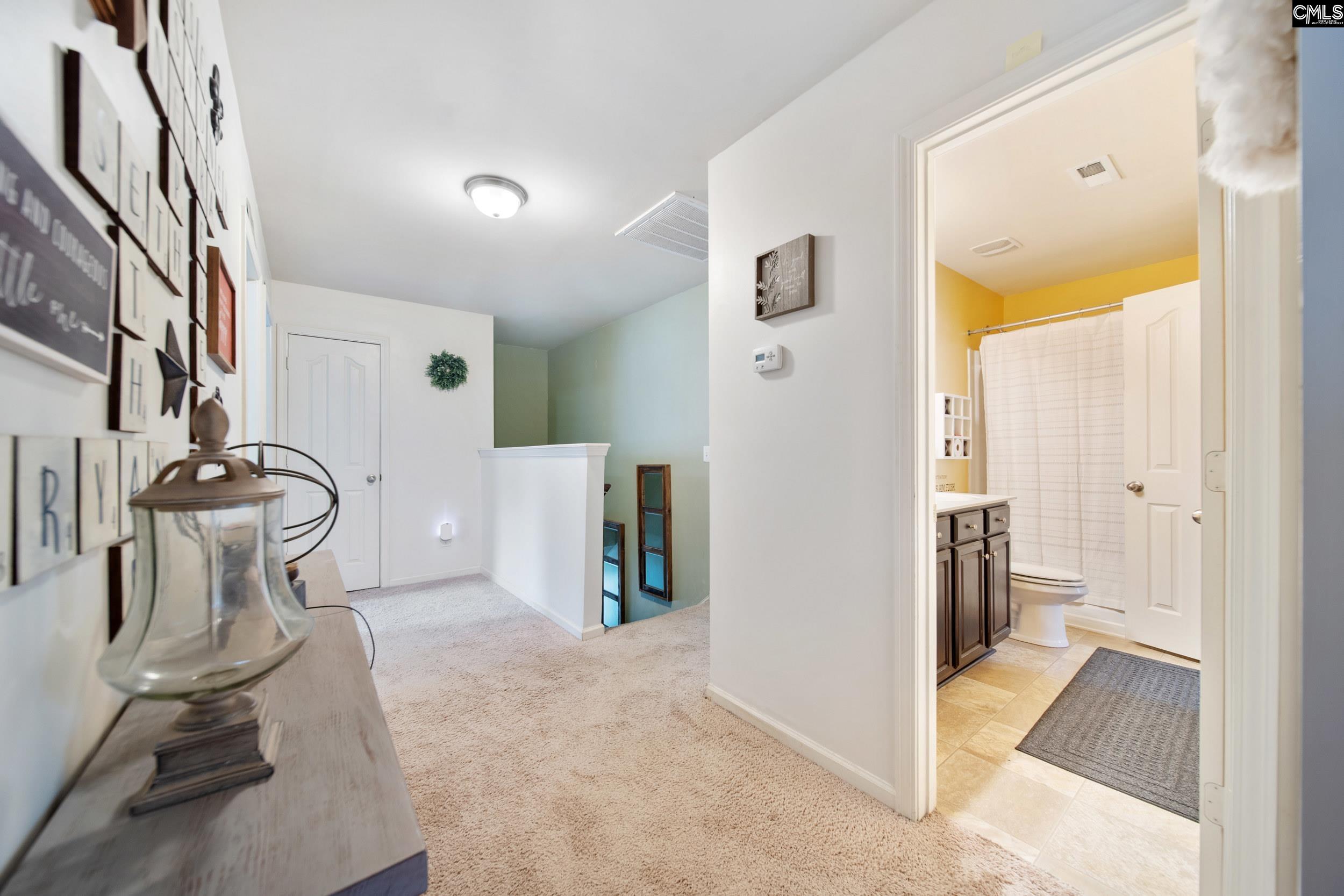 707 Soldier Grey Lane, Chapin, South Carolina image 26