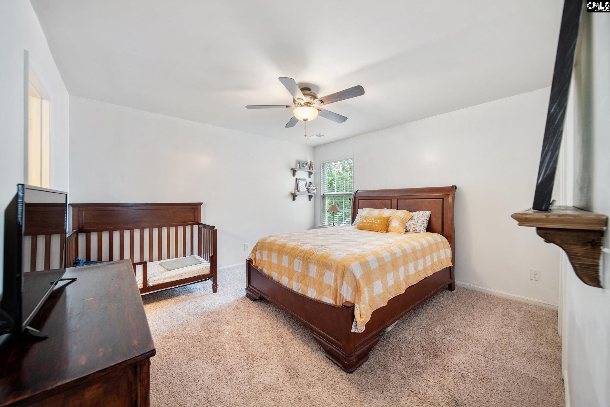 707 Soldier Grey Lane, Chapin, South Carolina image 28