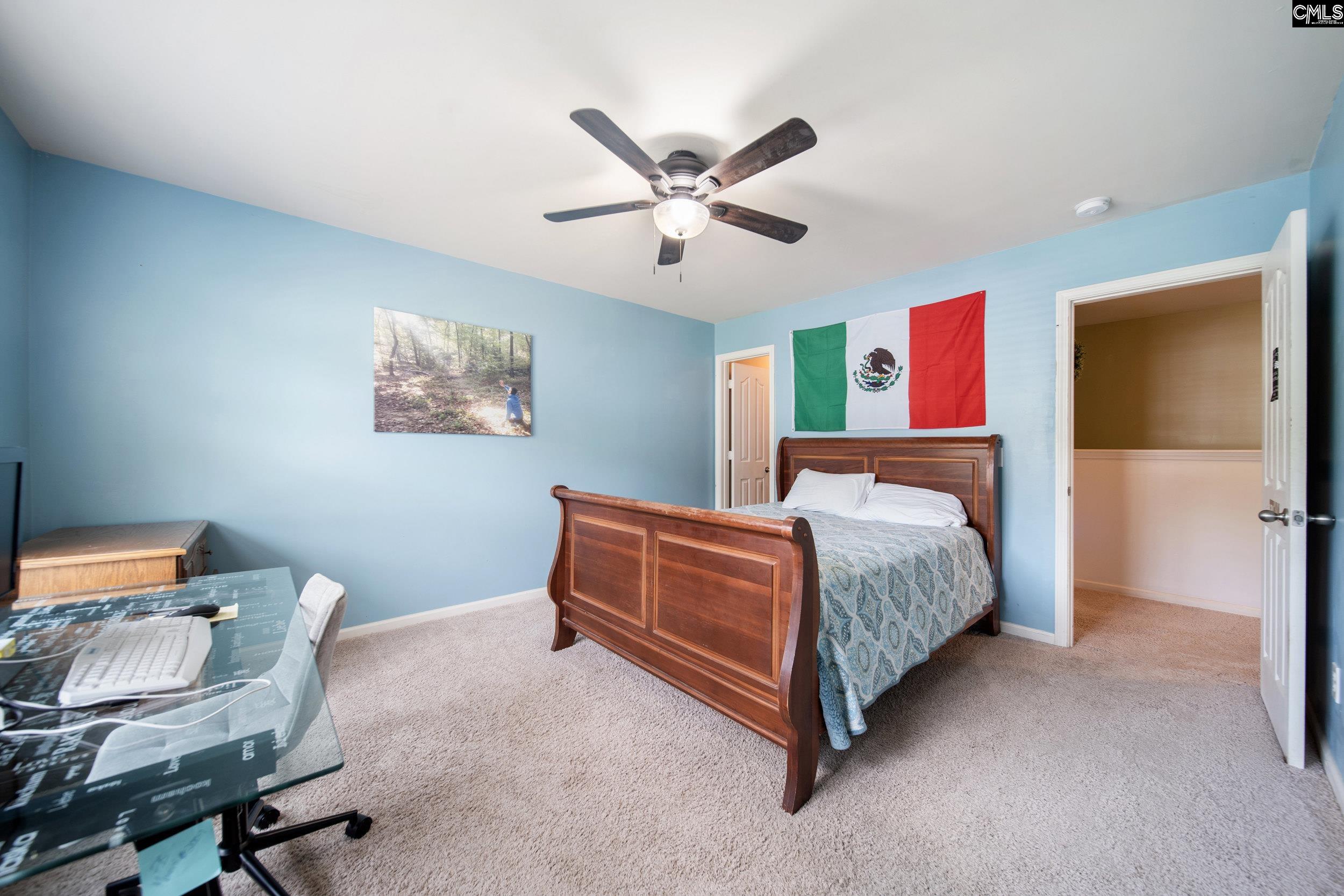 707 Soldier Grey Lane, Chapin, South Carolina image 37